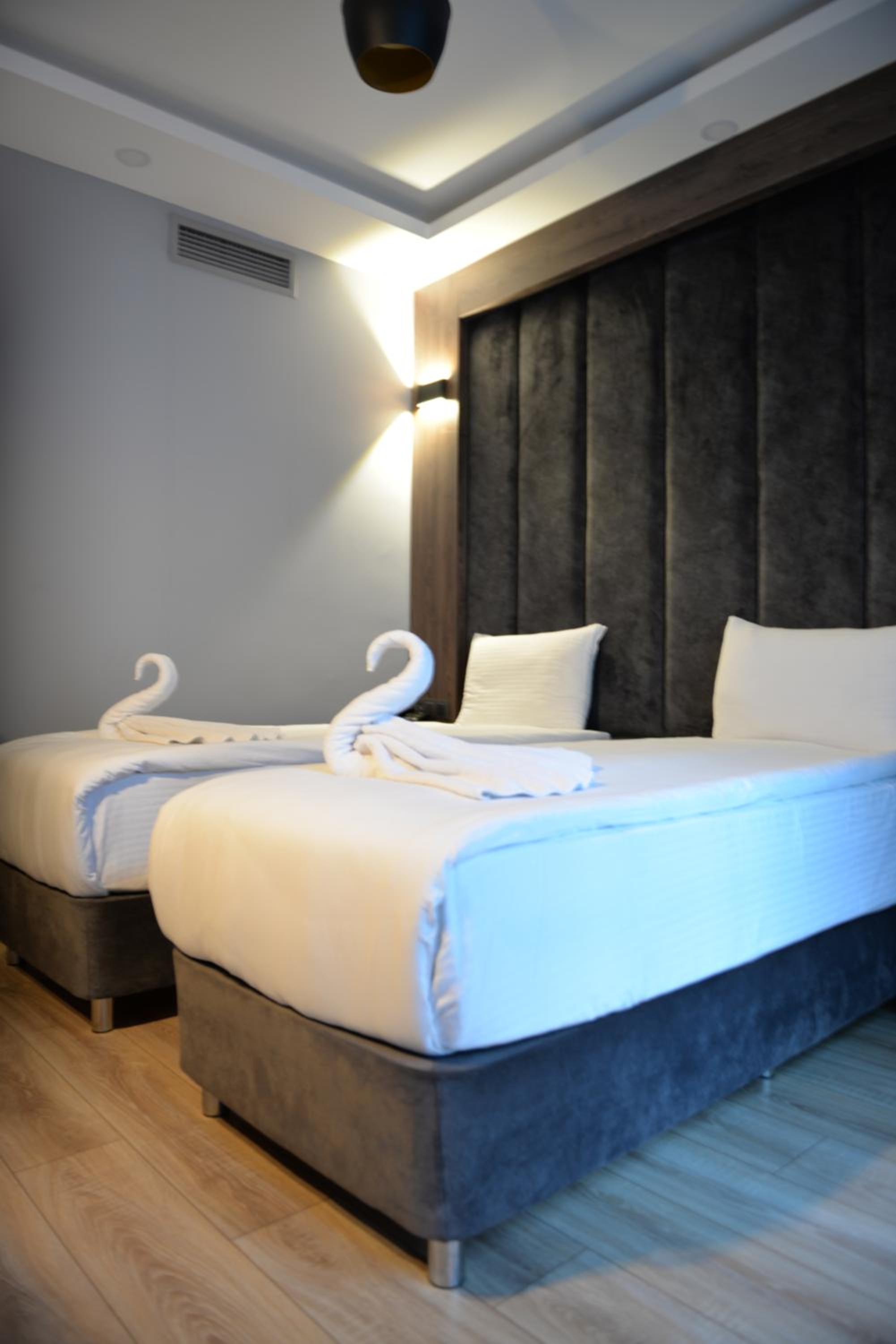 Twin Room photo 2