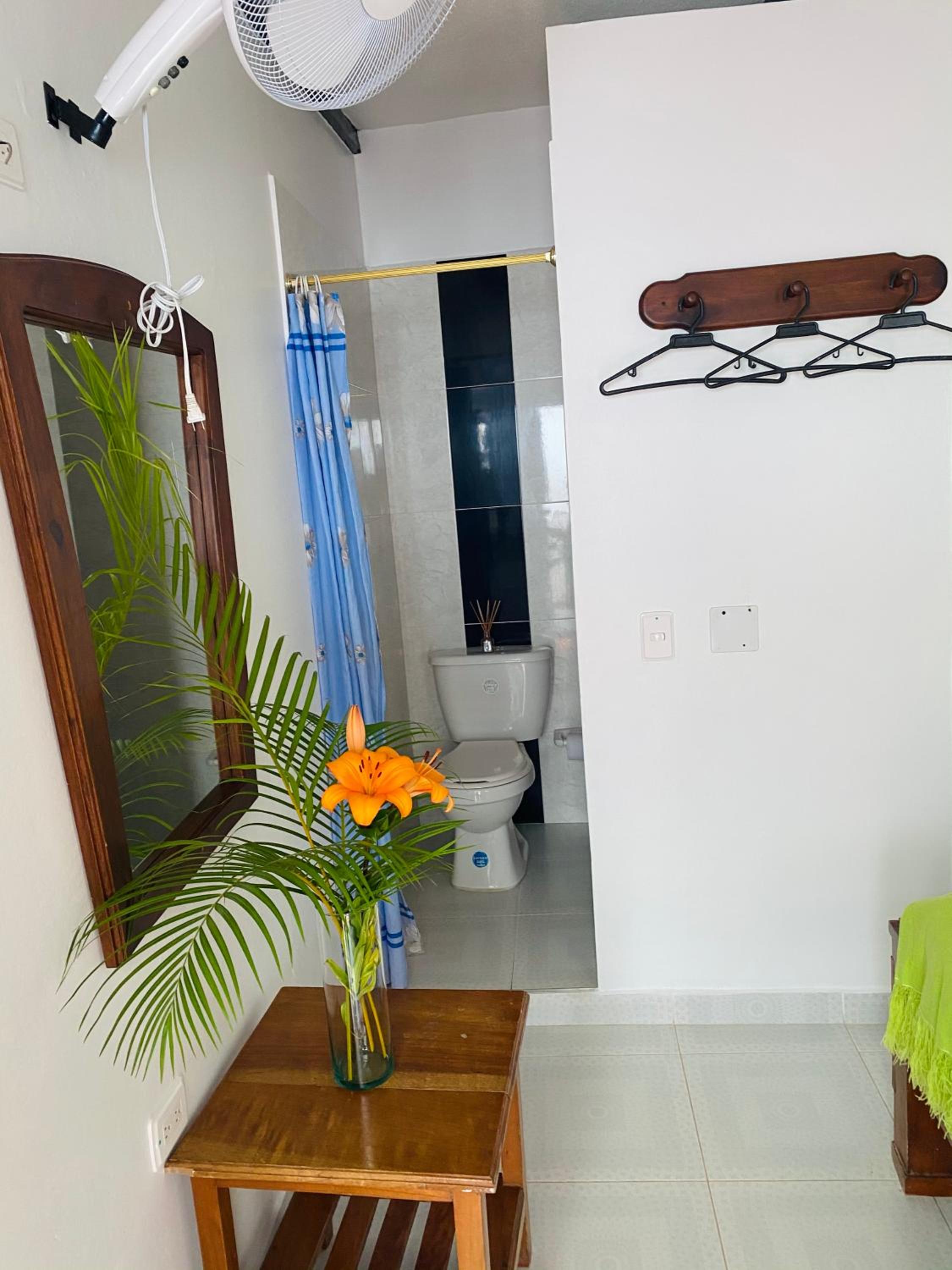 Single Room photo 1