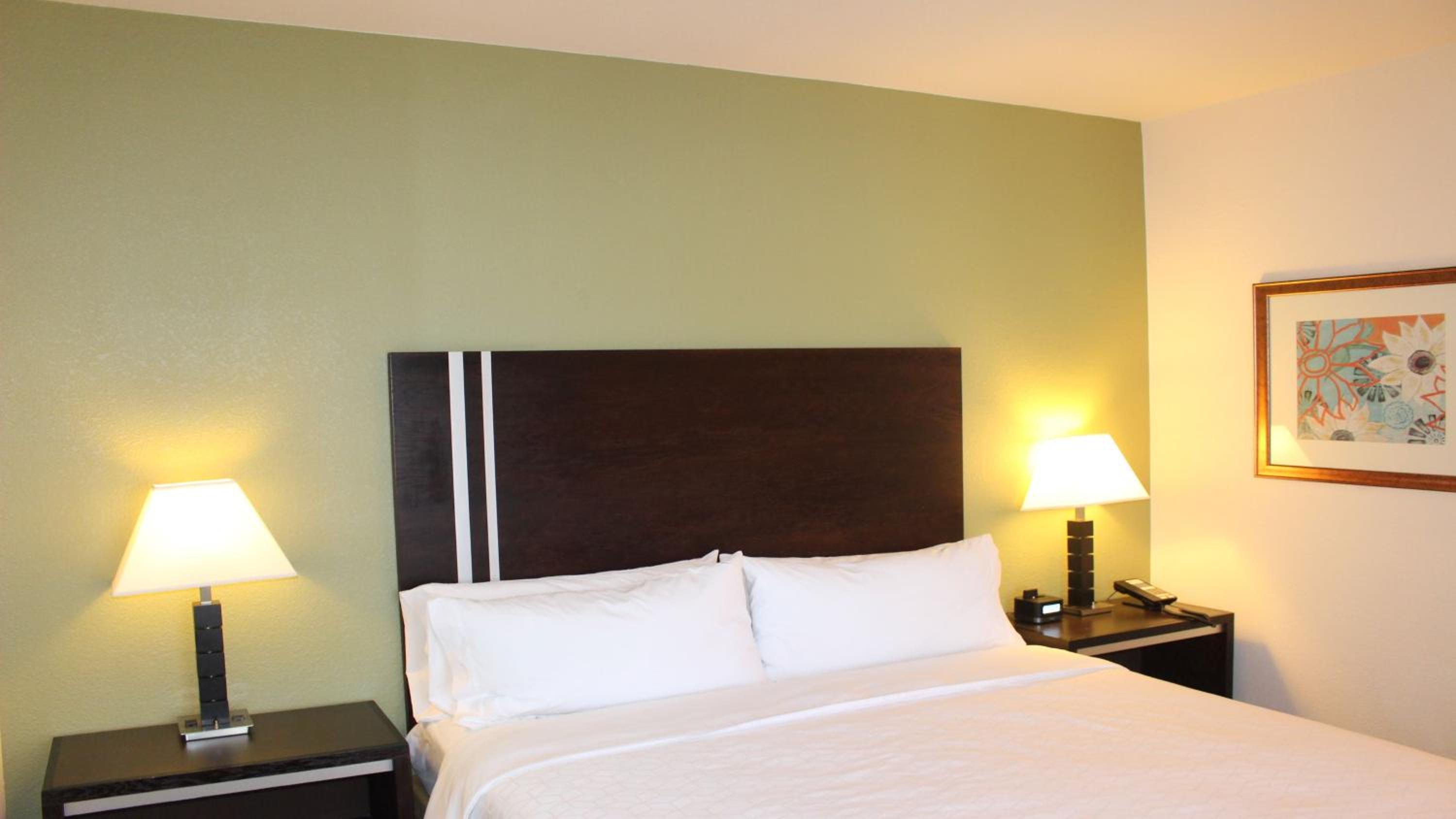 King Suite - Disability Access - Photo 3
