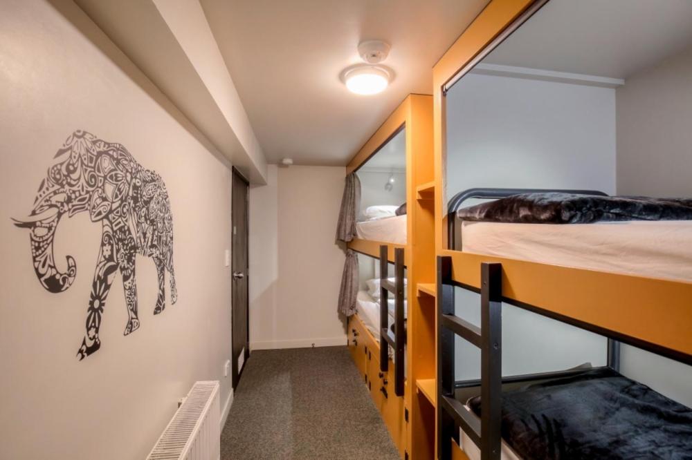 Single Pod in a 4 Bed-Mixed Budget Room