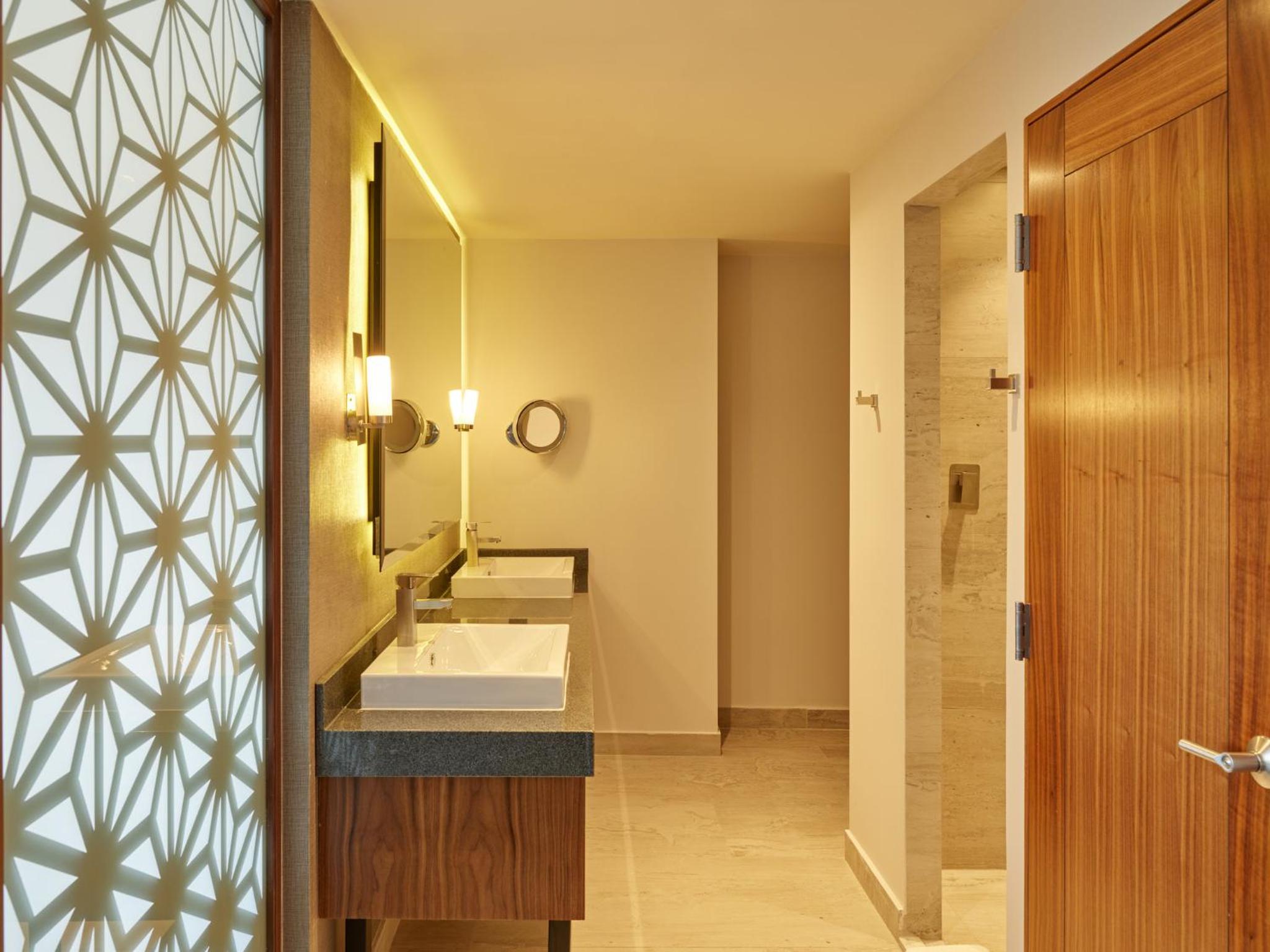  Junior Suite 1 King - Photo 3