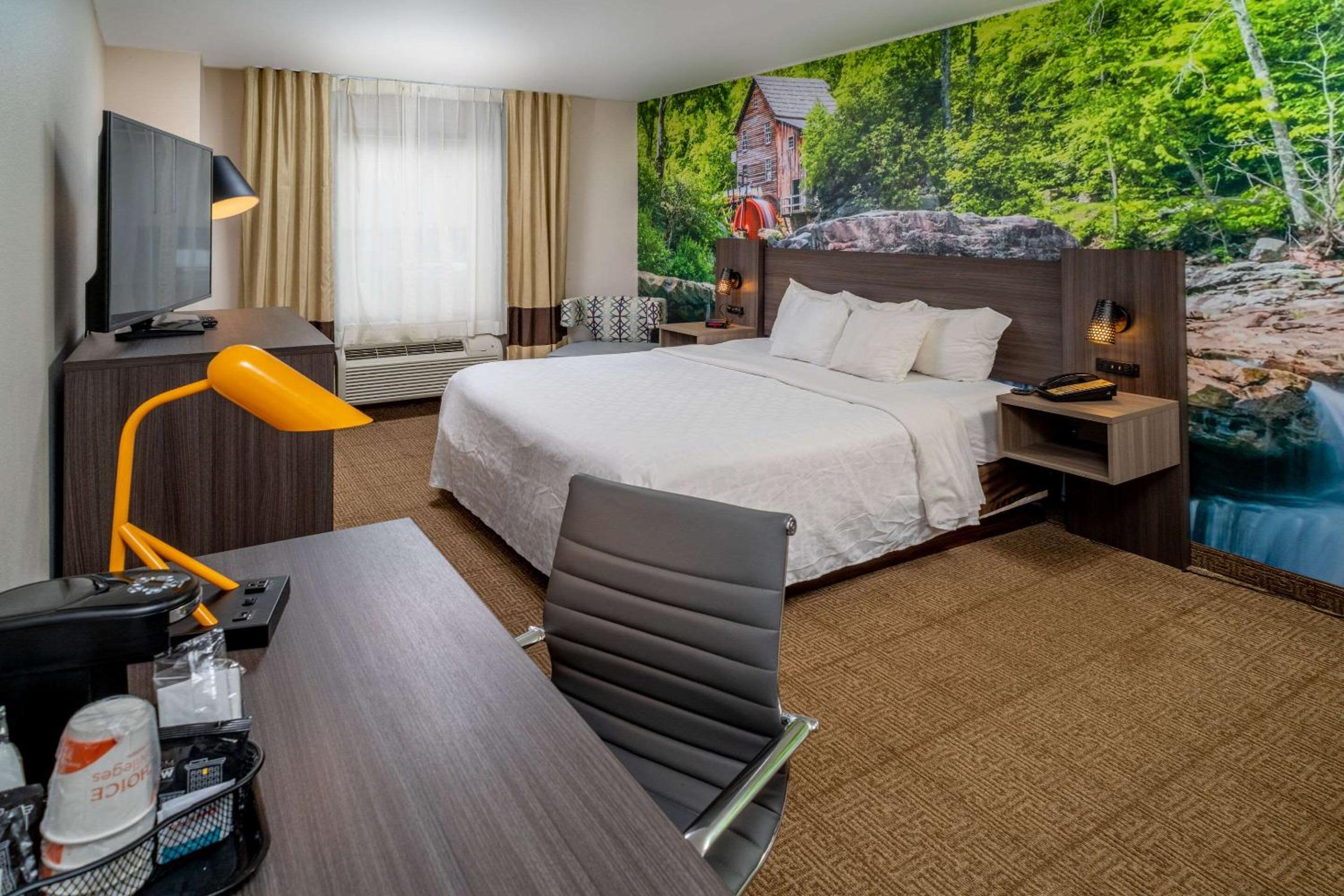 King Room with Roll-In Shower - Accessible/Non-Smoking - Photo 1