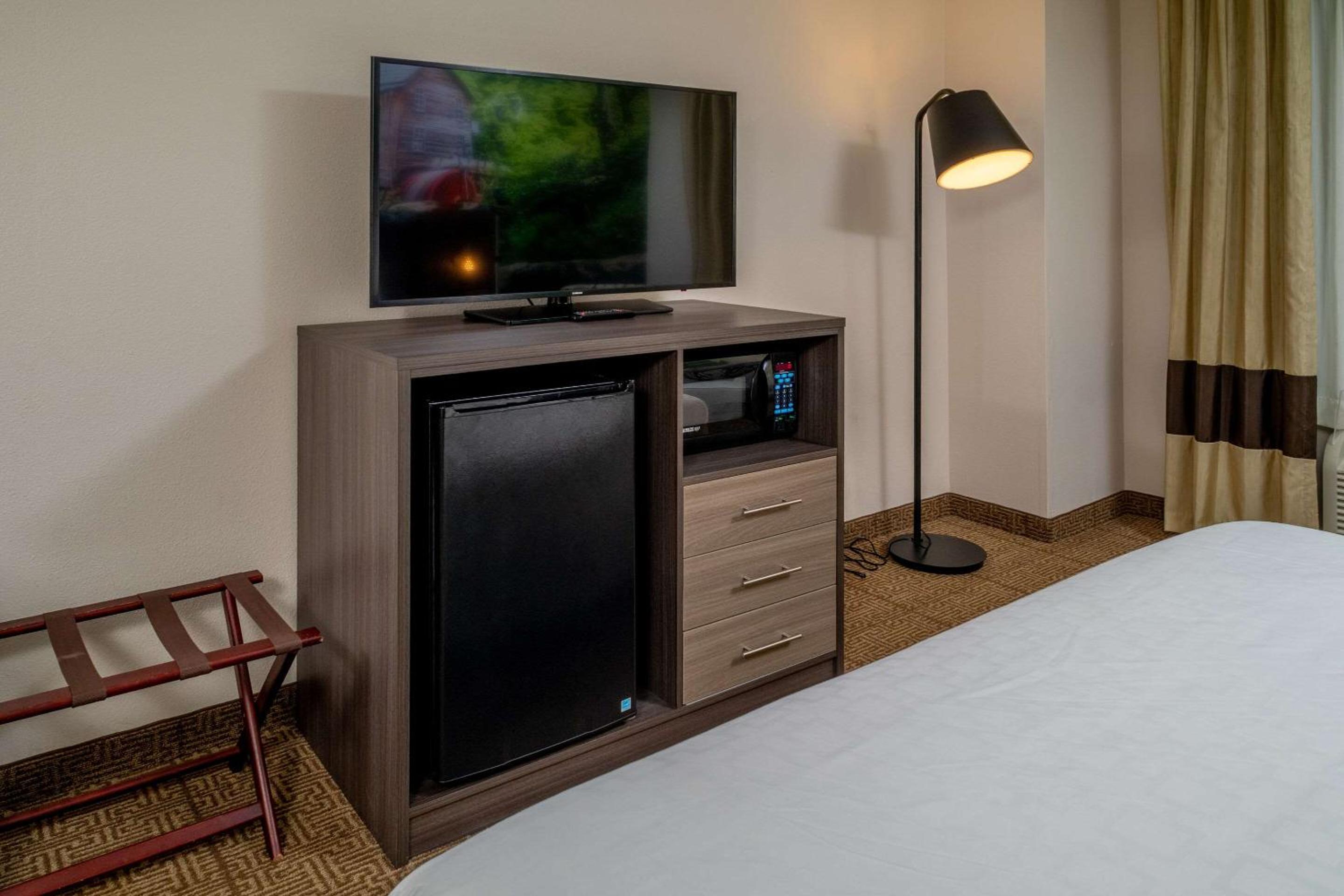 King Room with Roll-In Shower - Accessible/Non-Smoking - Photo 4