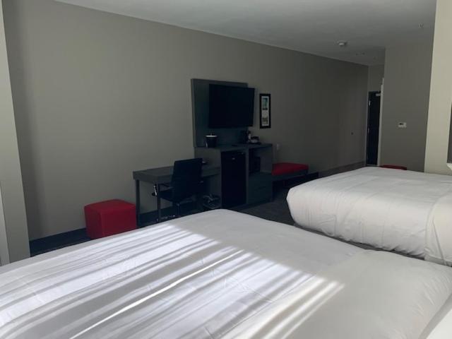 Queen Suite with Two Queen Beds - Non-Smoking - Photo 2