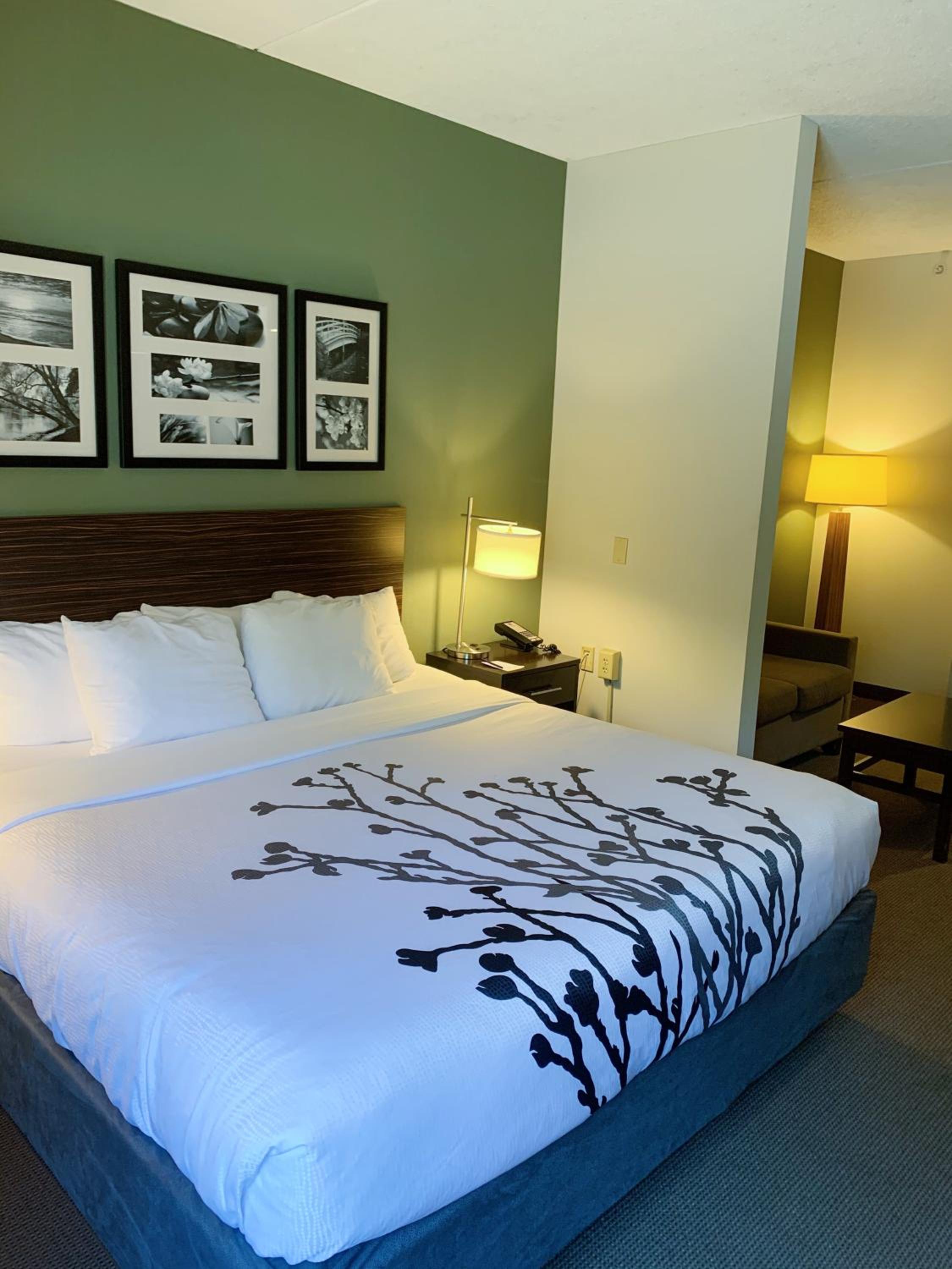 King Suite with Whirlpool and Sofa Bed - Non-Smoking - Photo 5