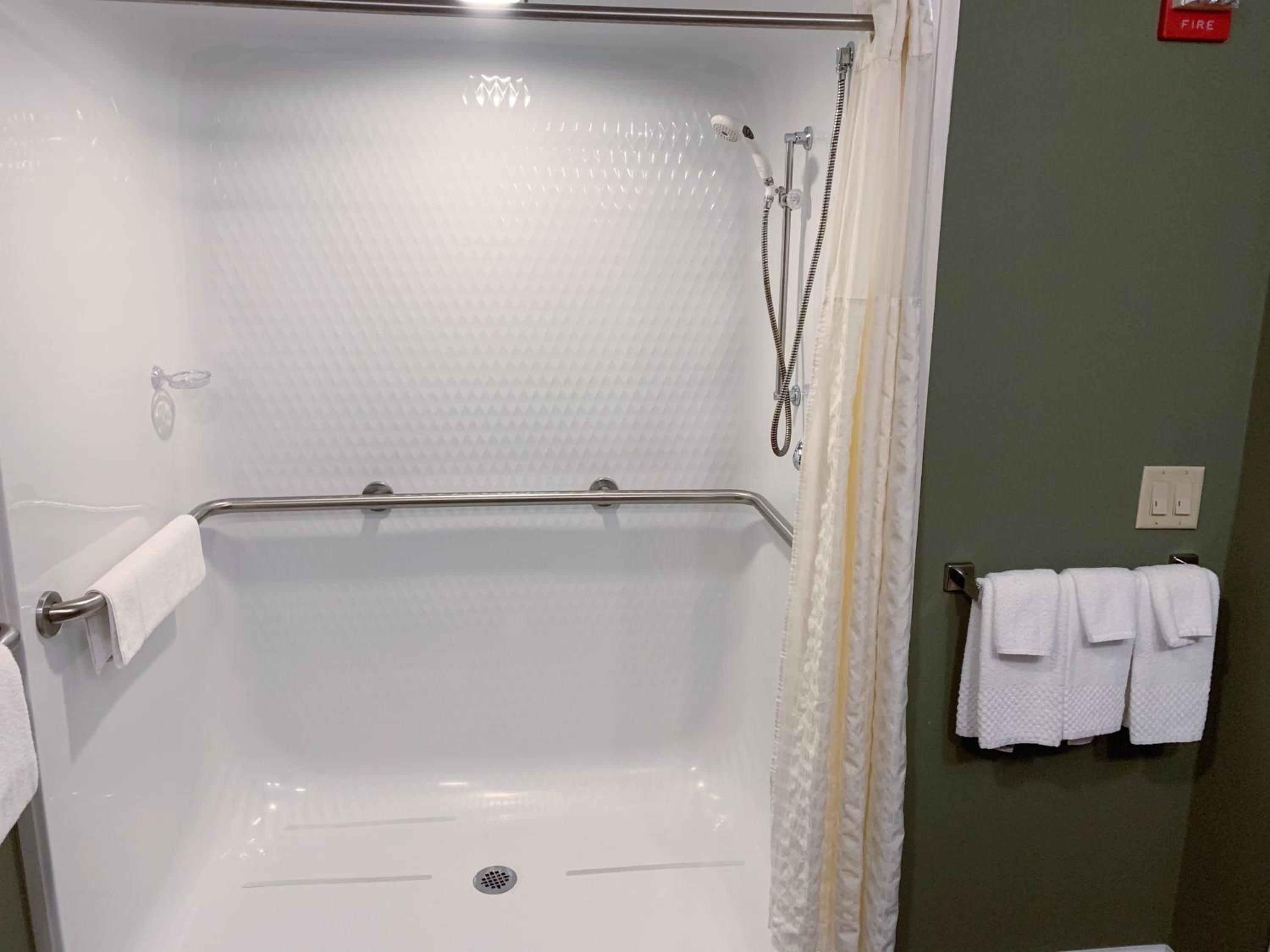 Queen Room with Roll-In Shower - Accessible/Non-Smoking - Photo 5