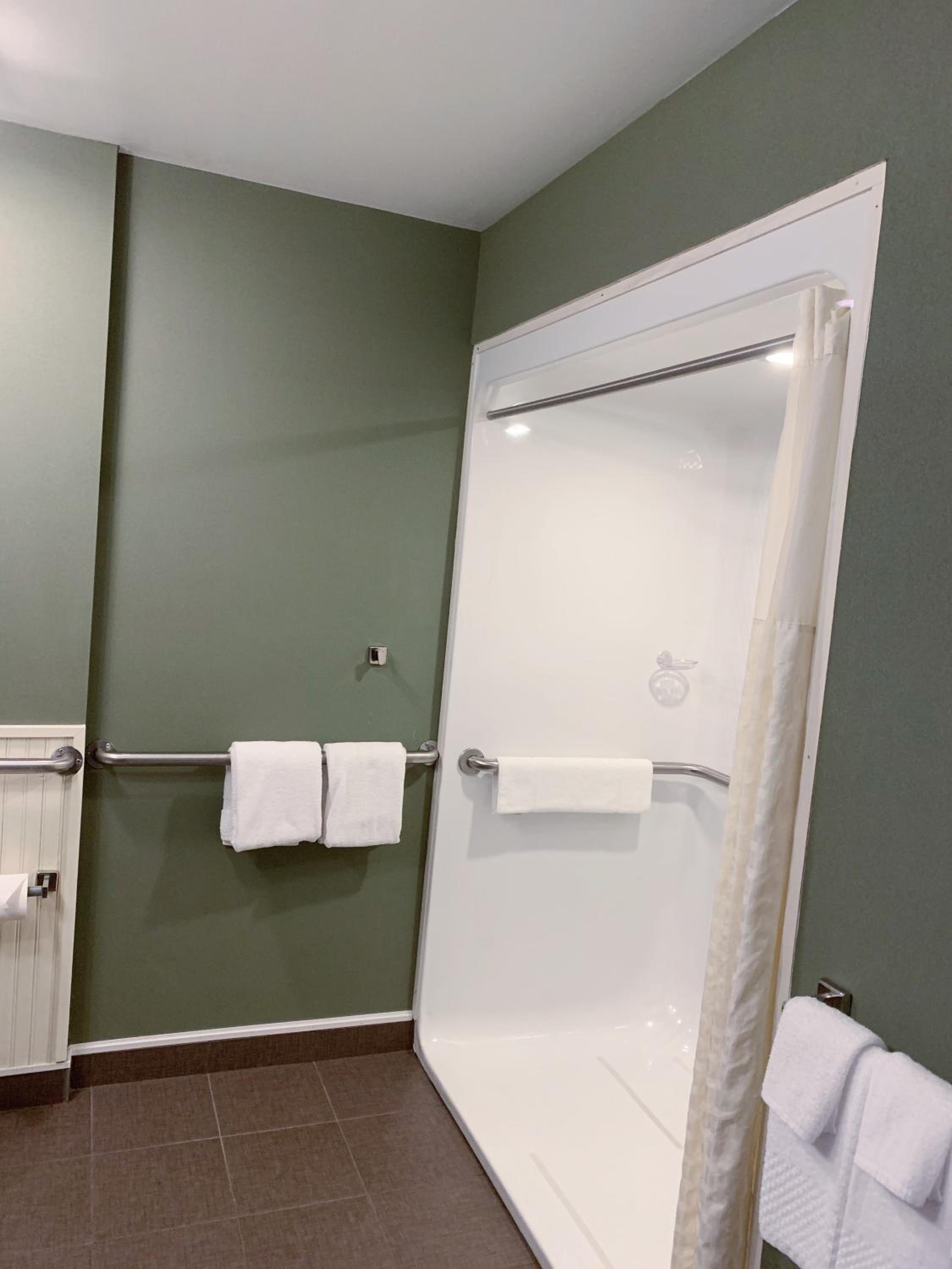 Queen Room with Roll-In Shower - Accessible/Non-Smoking - Photo 4