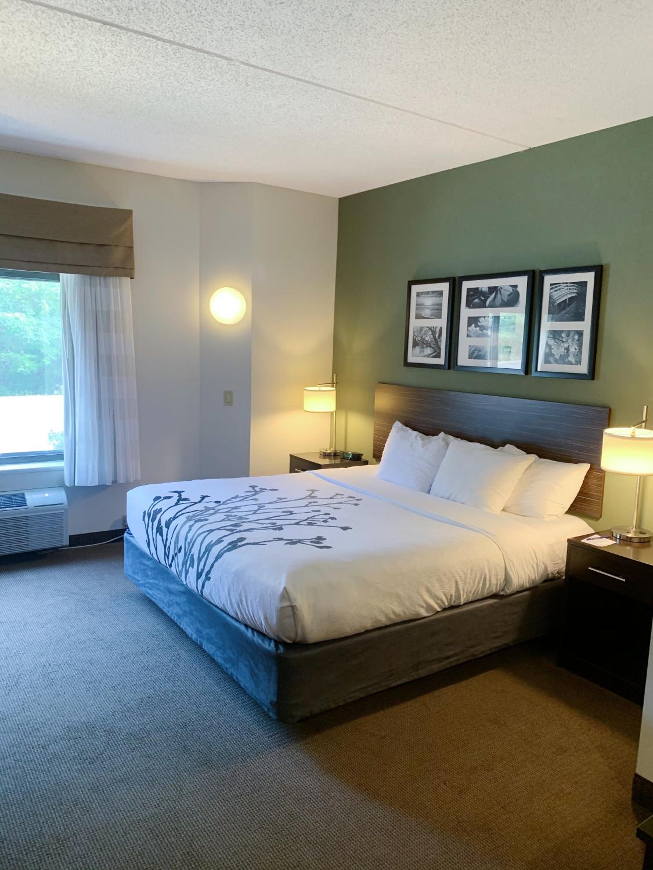 Queen Room with Roll-In Shower - Accessible/Non-Smoking - Photo 2