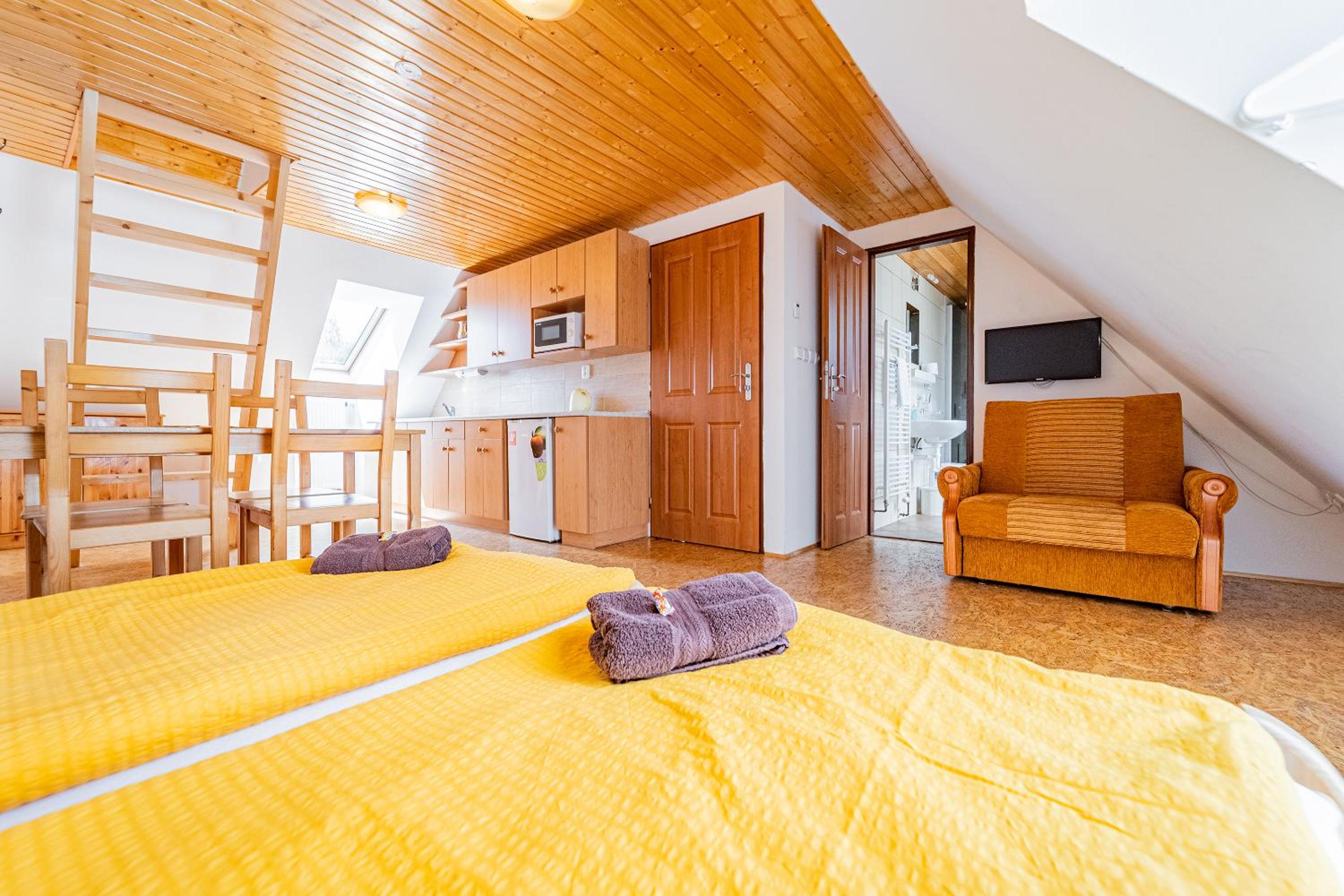 Studio Apartment