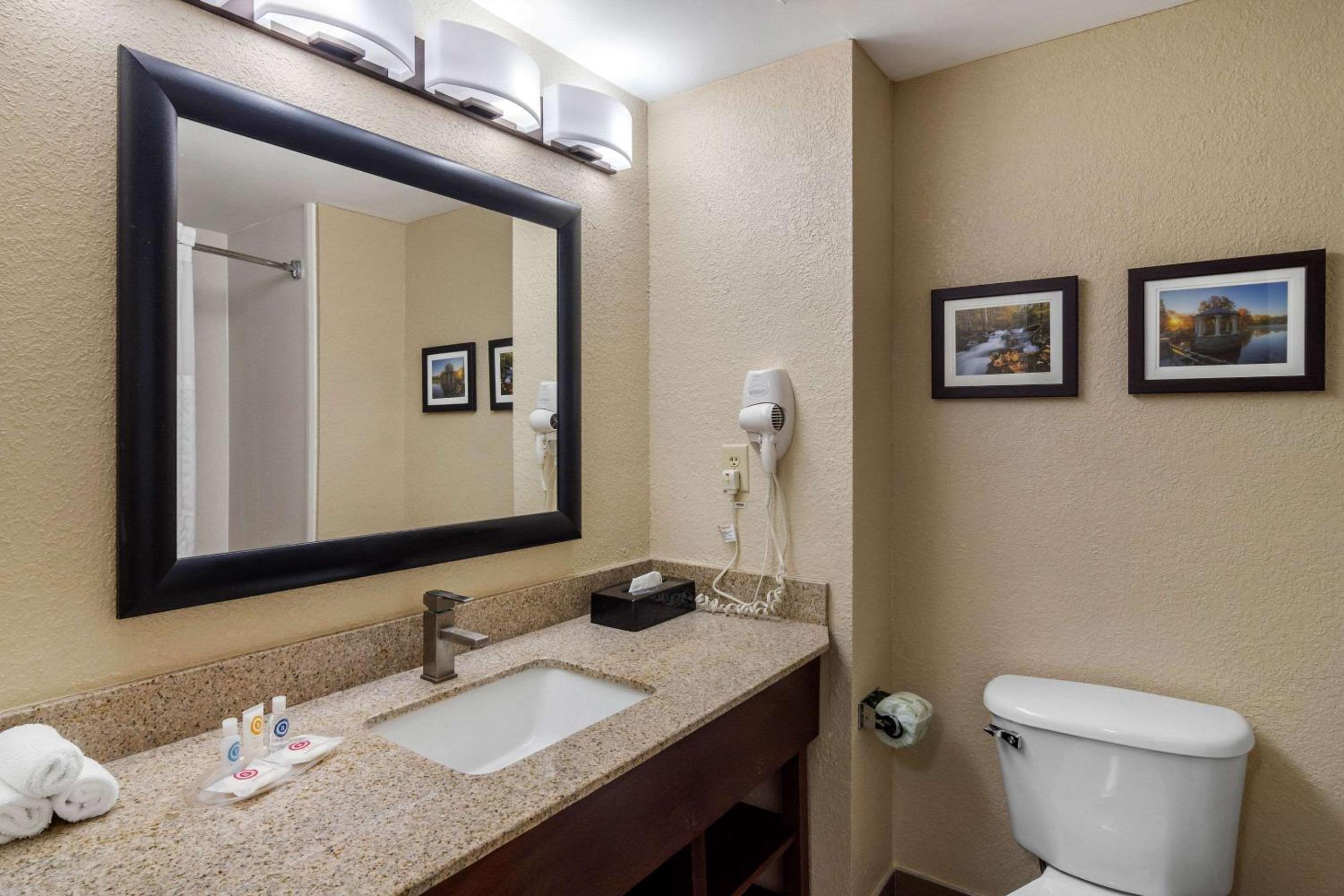 King Suite - Non-Smoking - Photo 7