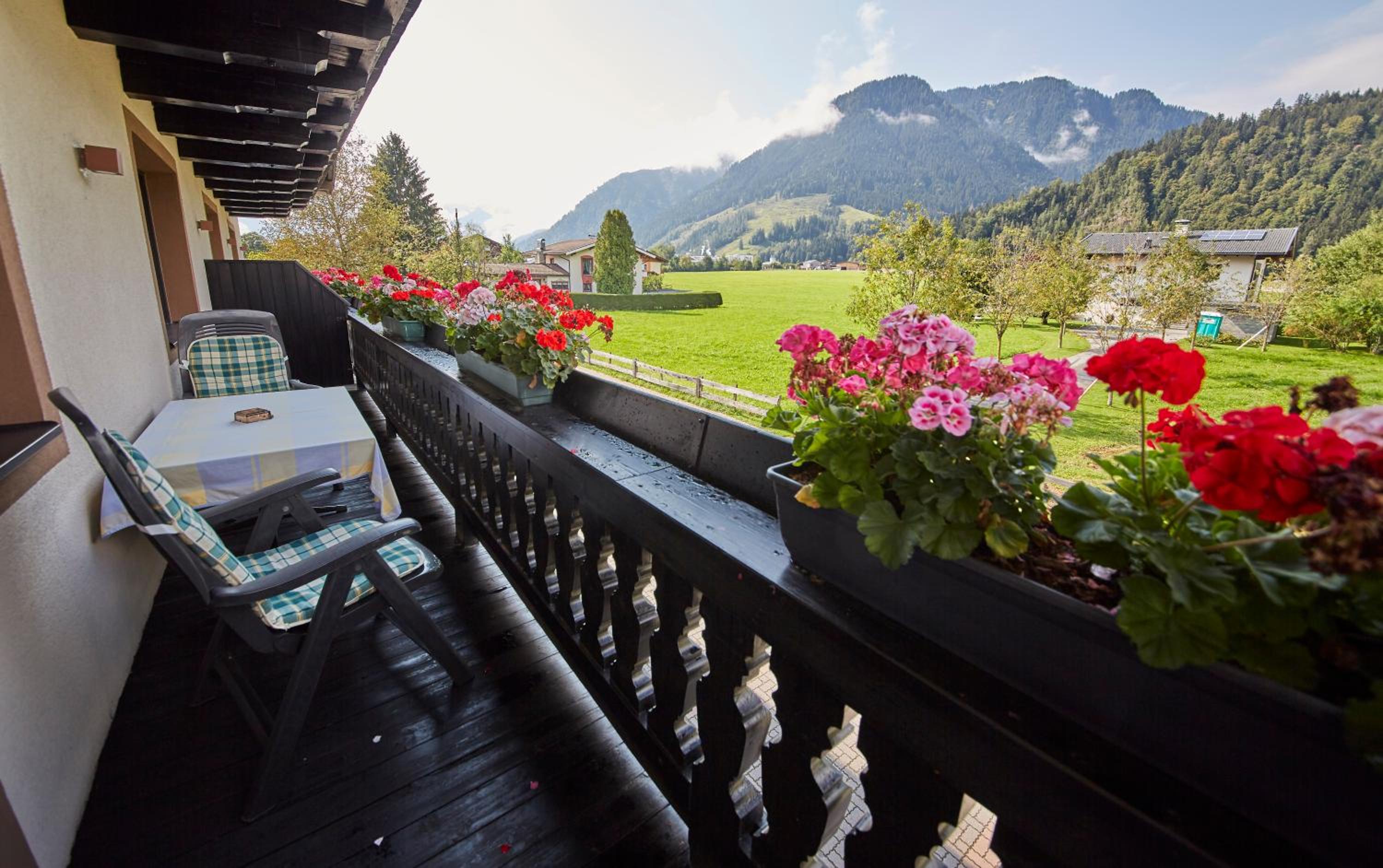 Apartment with Mountain View photo 3