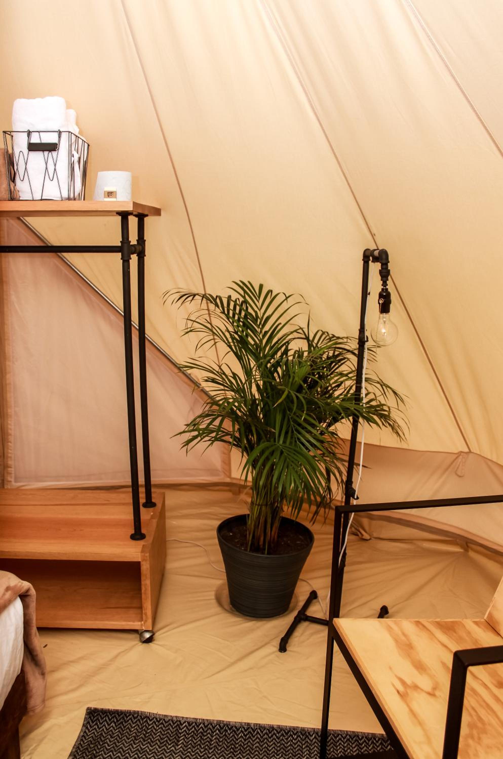 Twin Tent - Photo 10