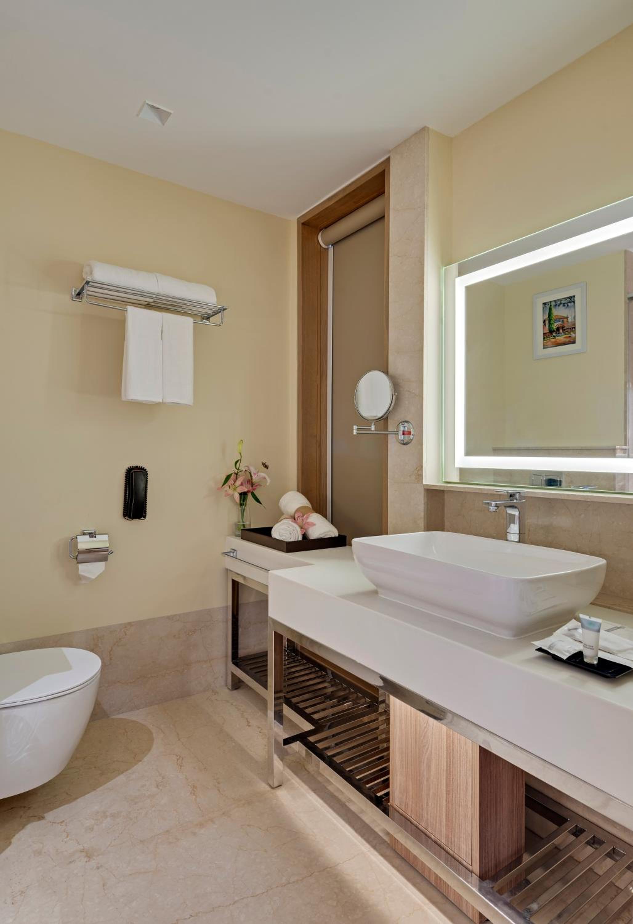 Deluxe Room - Photo 5