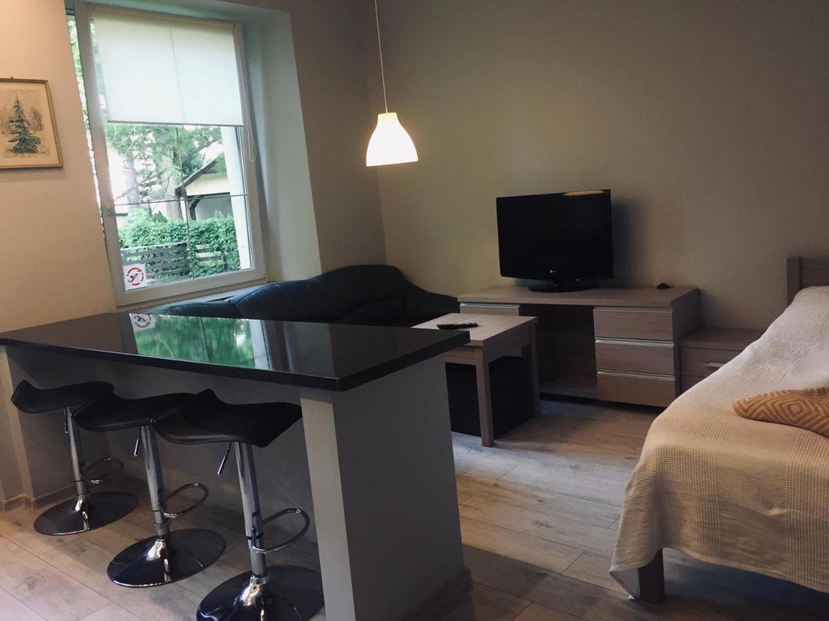 One-Bedroom Apartment - Photo 7