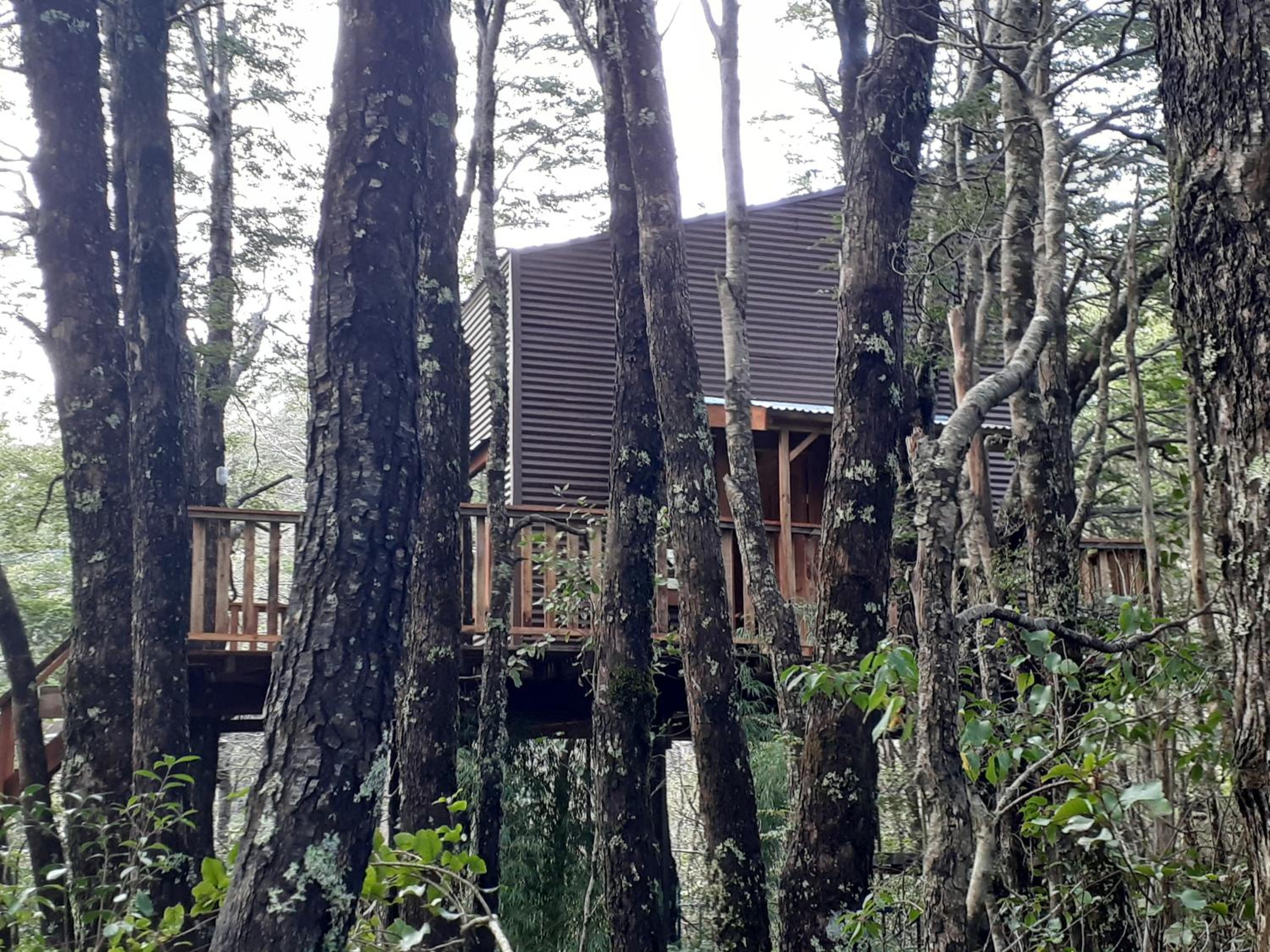 Family Bungalow photo 2
