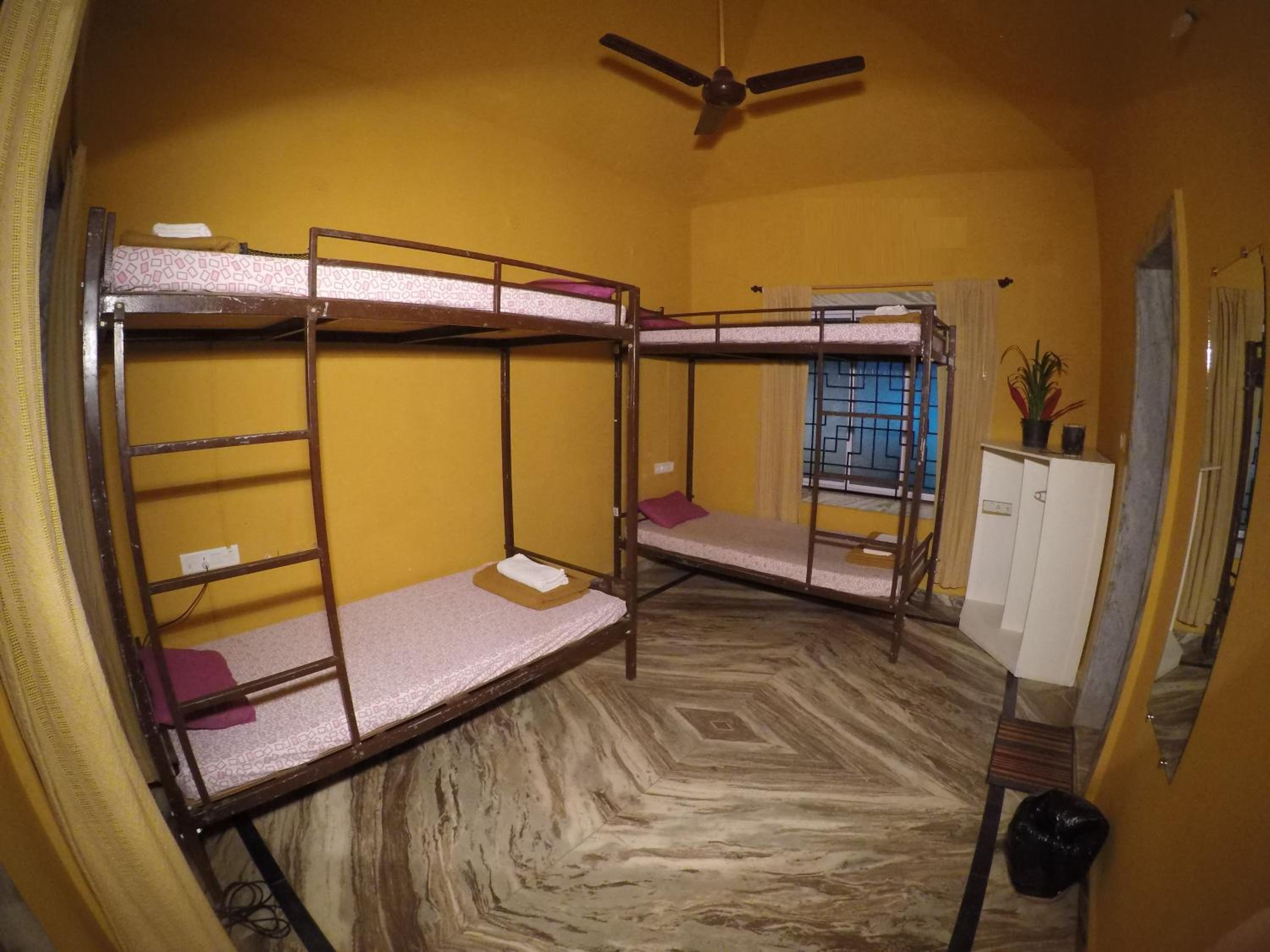 Bunk Bed In Mixed Dormitory Room photo 3