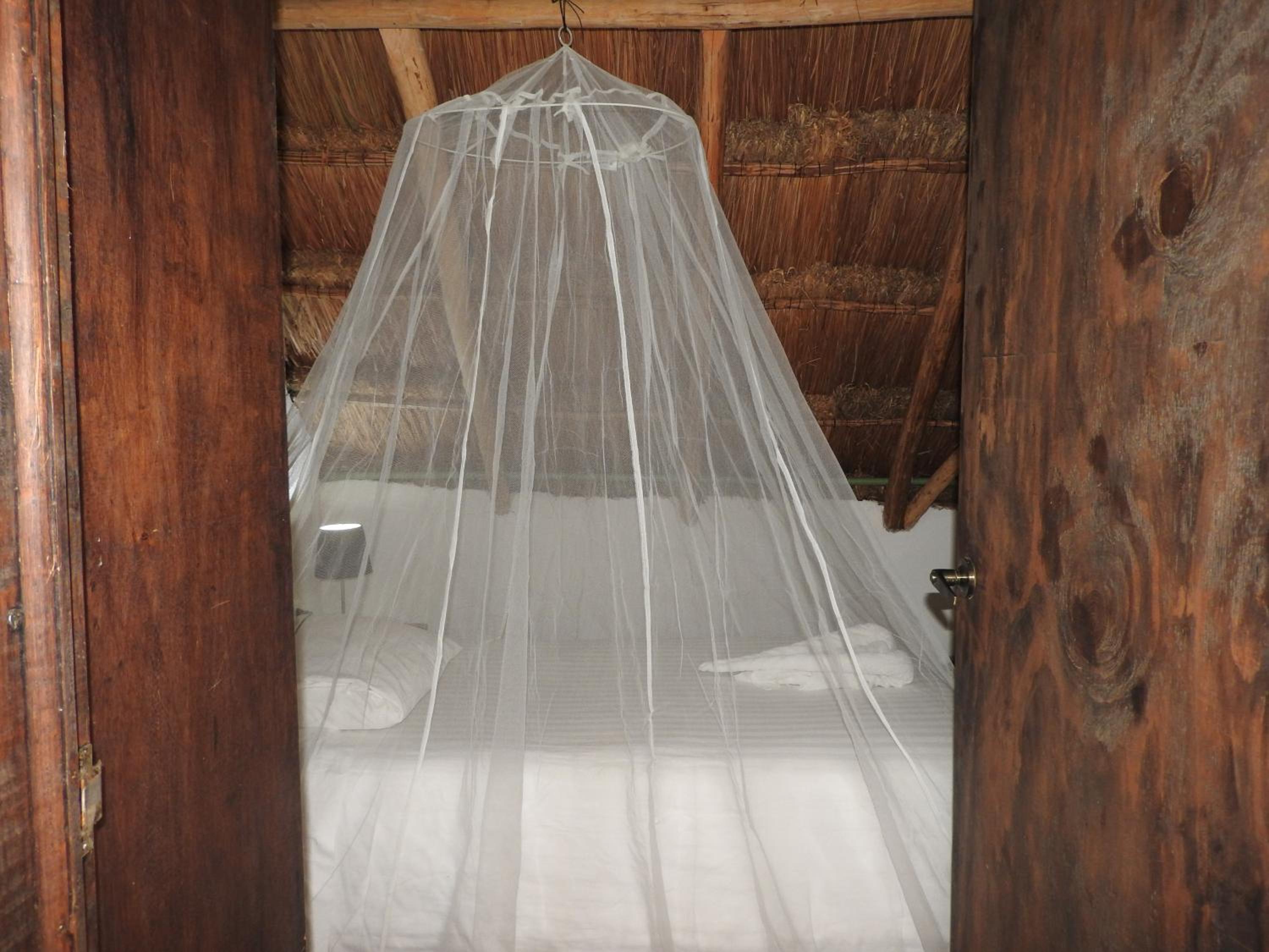 Quadruple Room - Photo 9