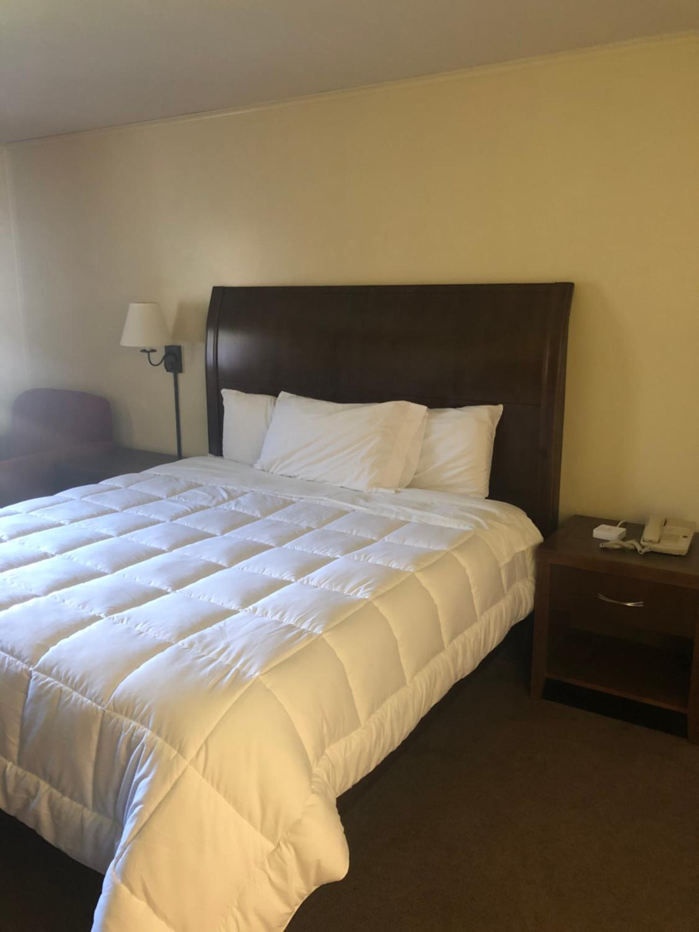 Deluxe Single Room photo 3