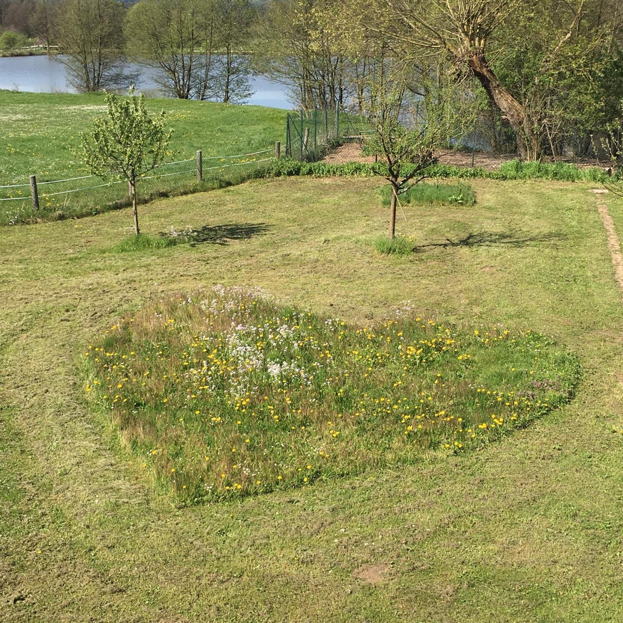 Double Room With Garden View photo 3