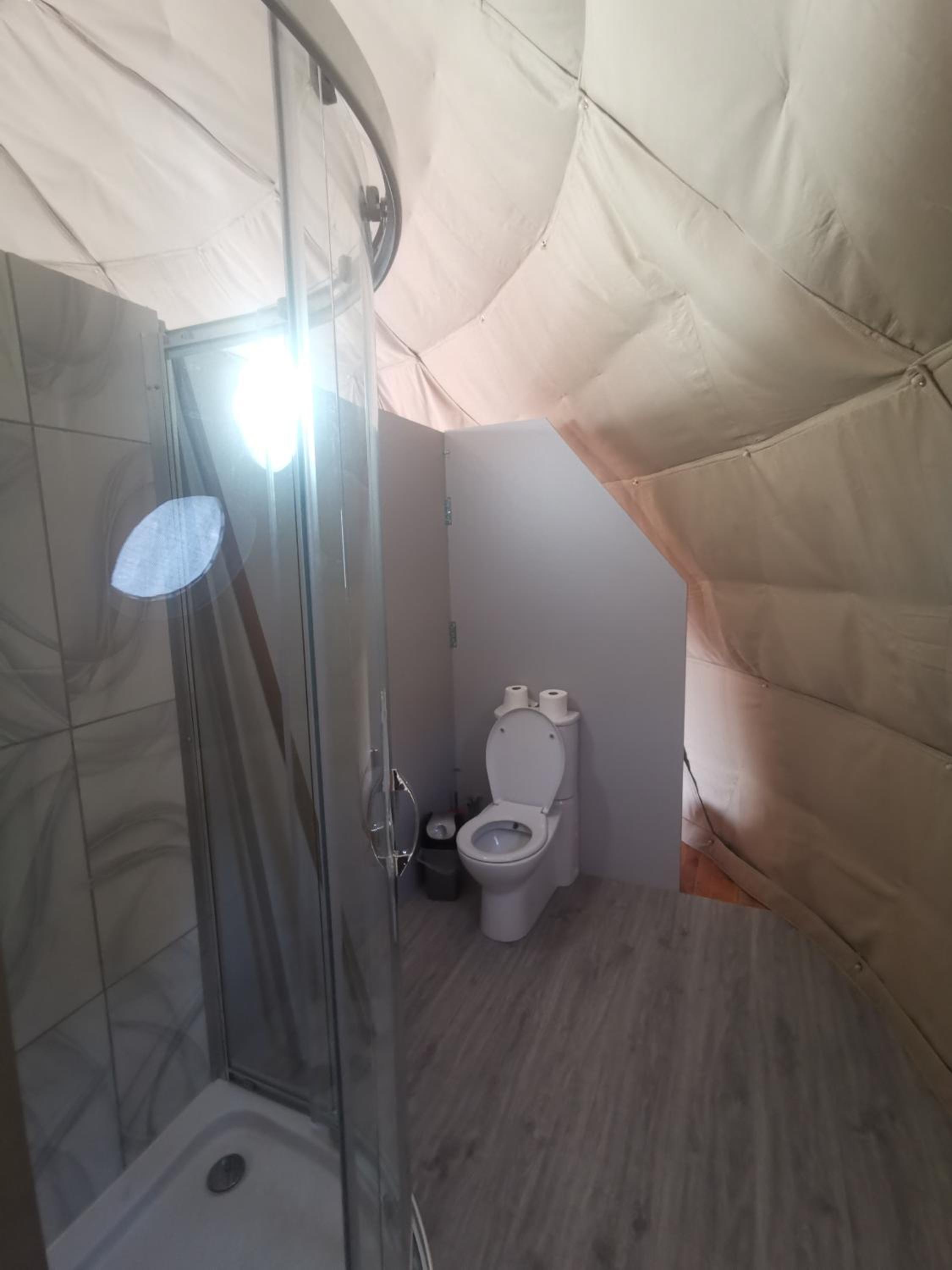 Deluxe King Room - Photo 8