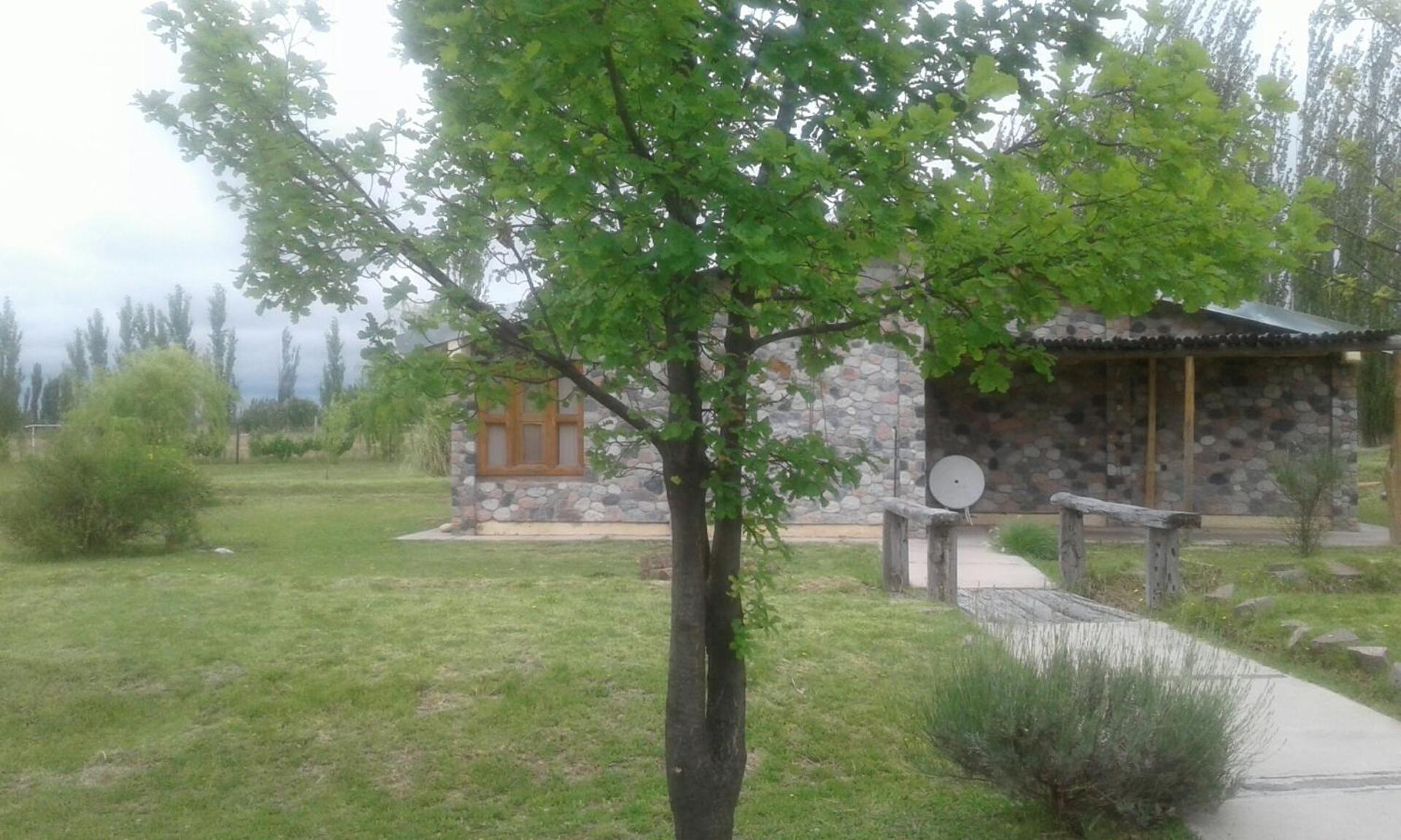 Cabin (5 Adults) photo 2