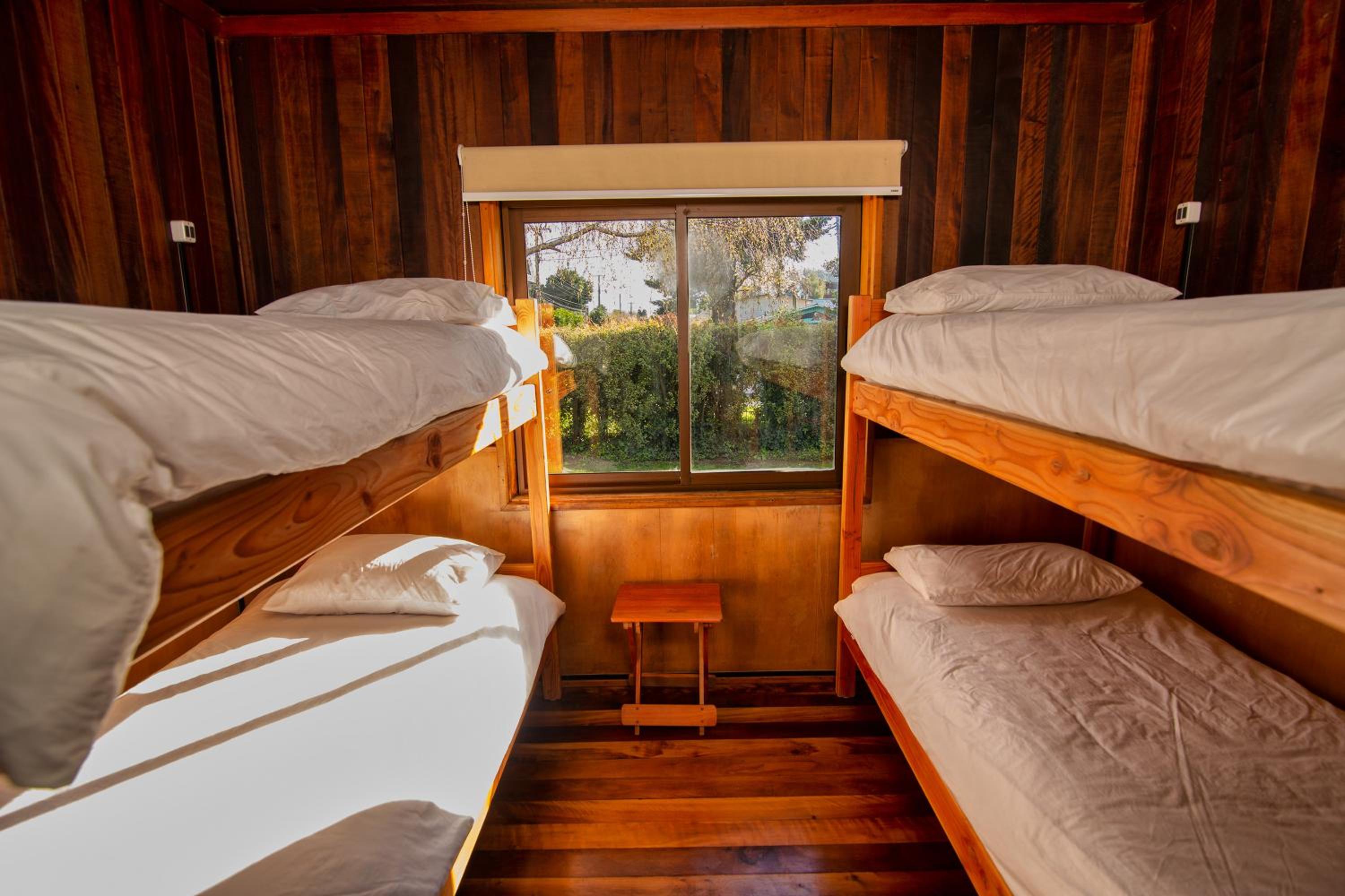 Bed in 4-Bed Dormitory Room photo 3