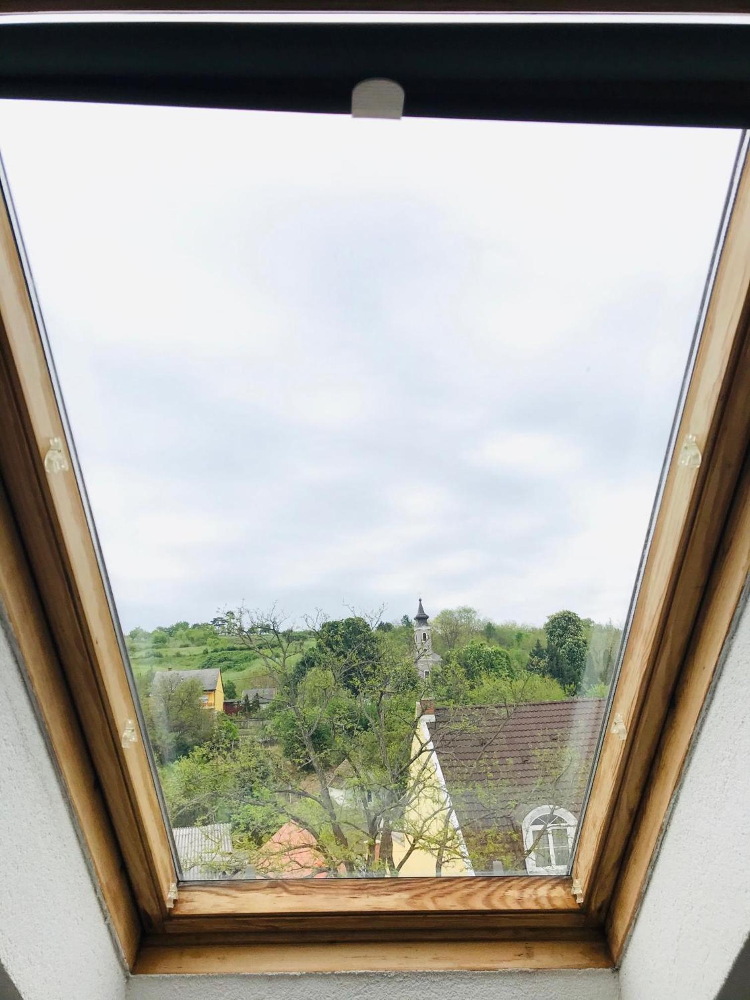 Apartment with Terrace photo 2