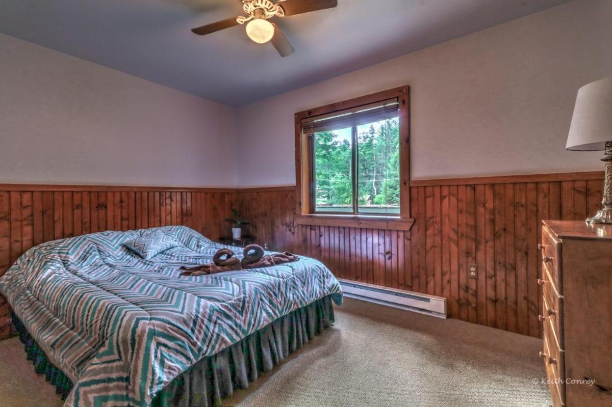 Tree Top Suite photo 1