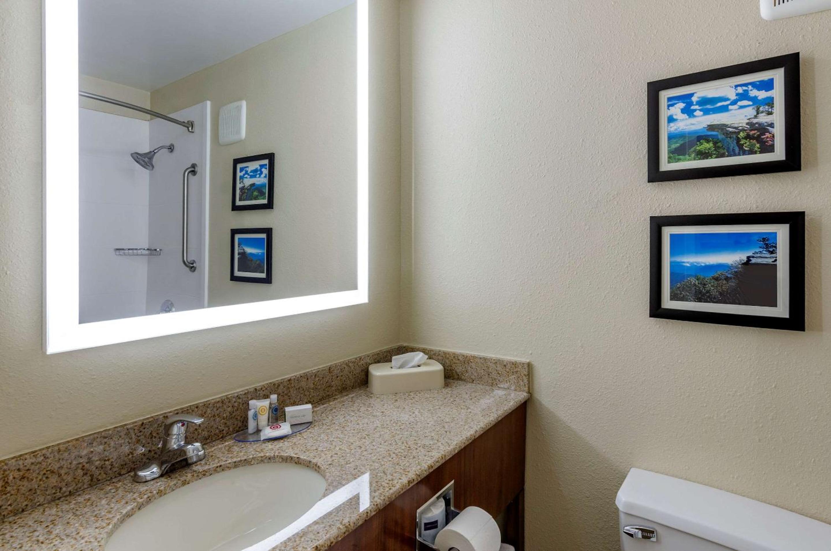 Queen Room With Accessible Tub - Accessible/Non-Smoking - Photo 2