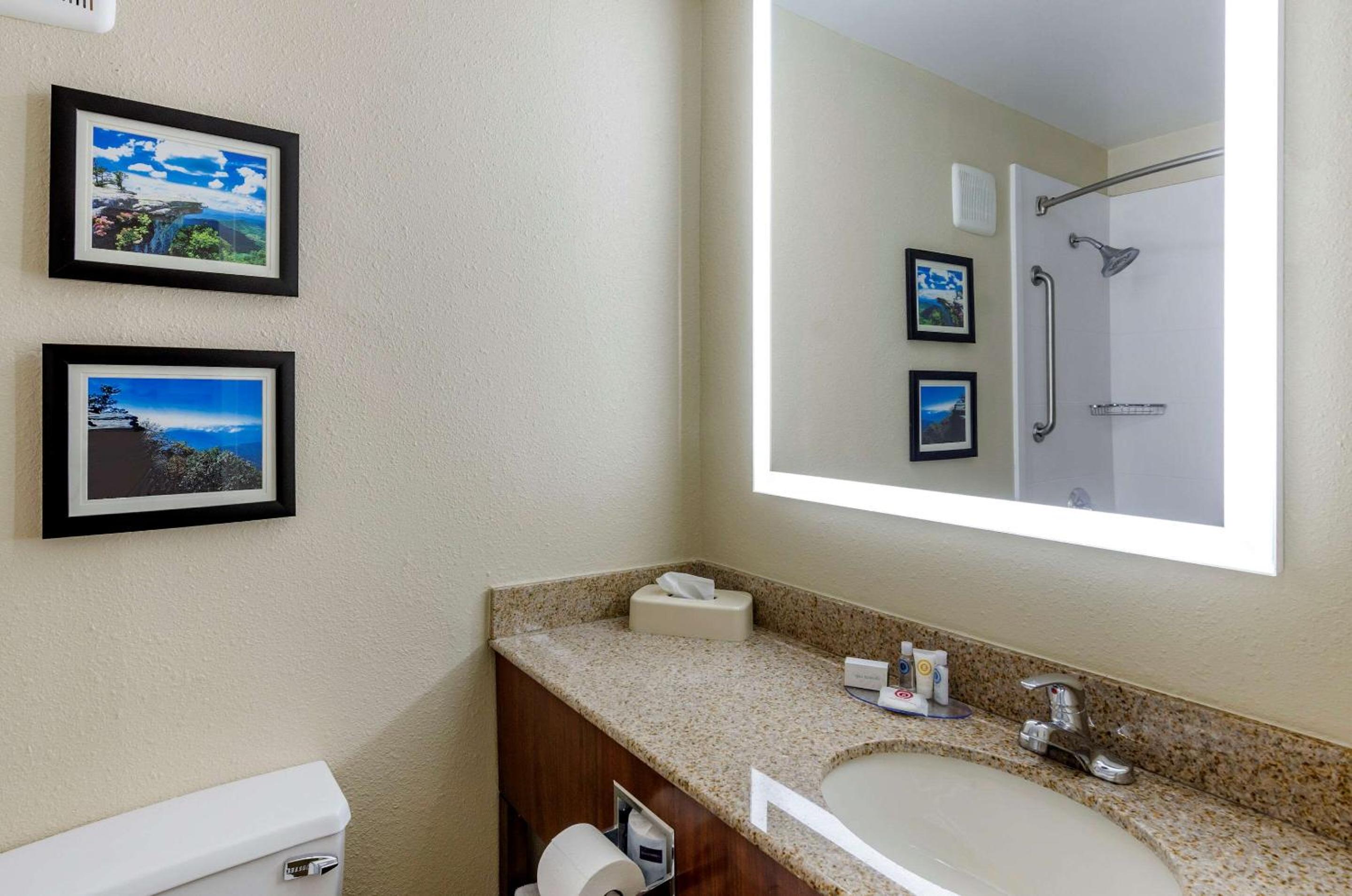 Queen Room With Accessible Tub - Accessible/Non-Smoking - Photo 6