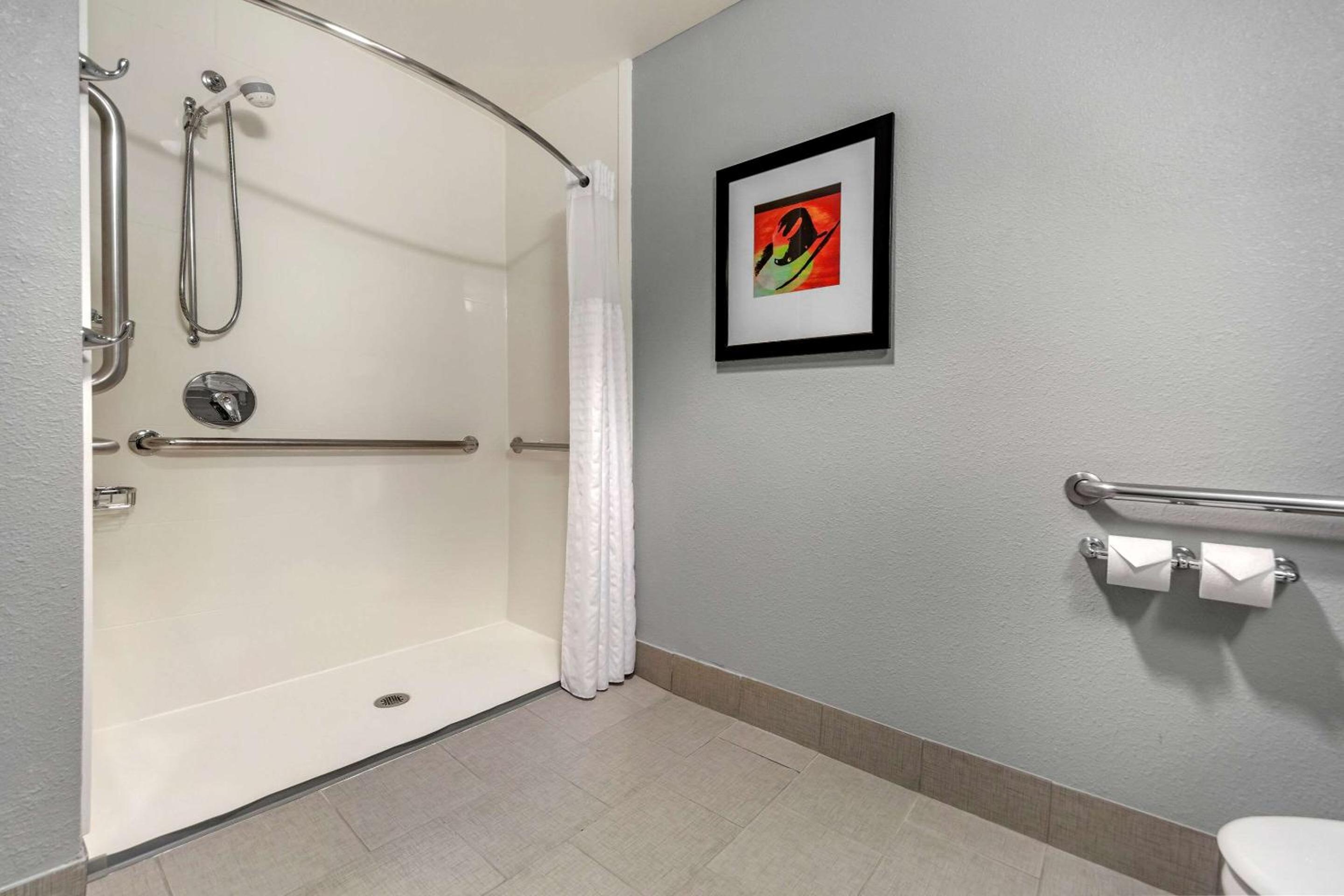 King Room with Roll-in-Shower - Accessible/Non-Smoking