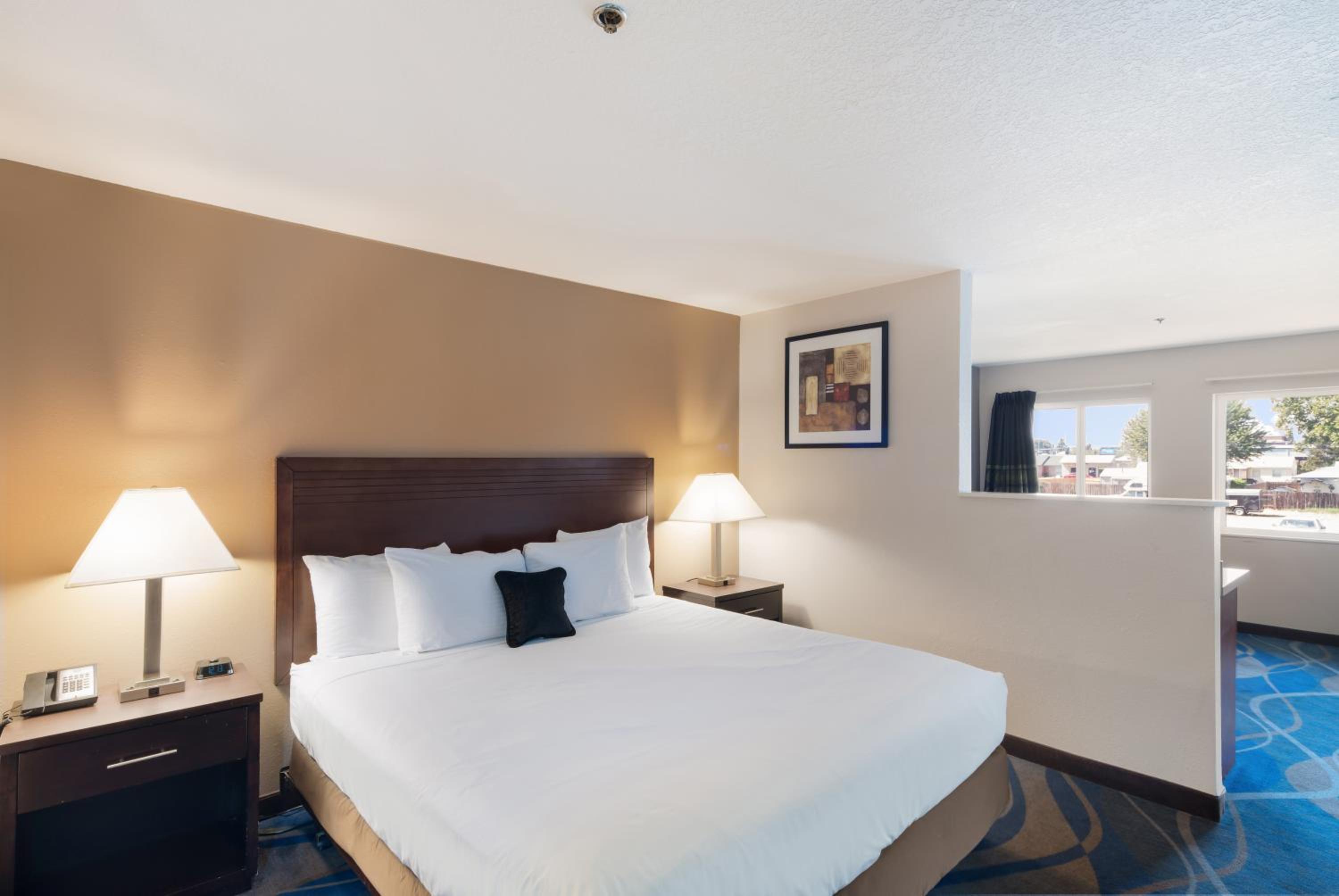 Executive Suite photo 1
