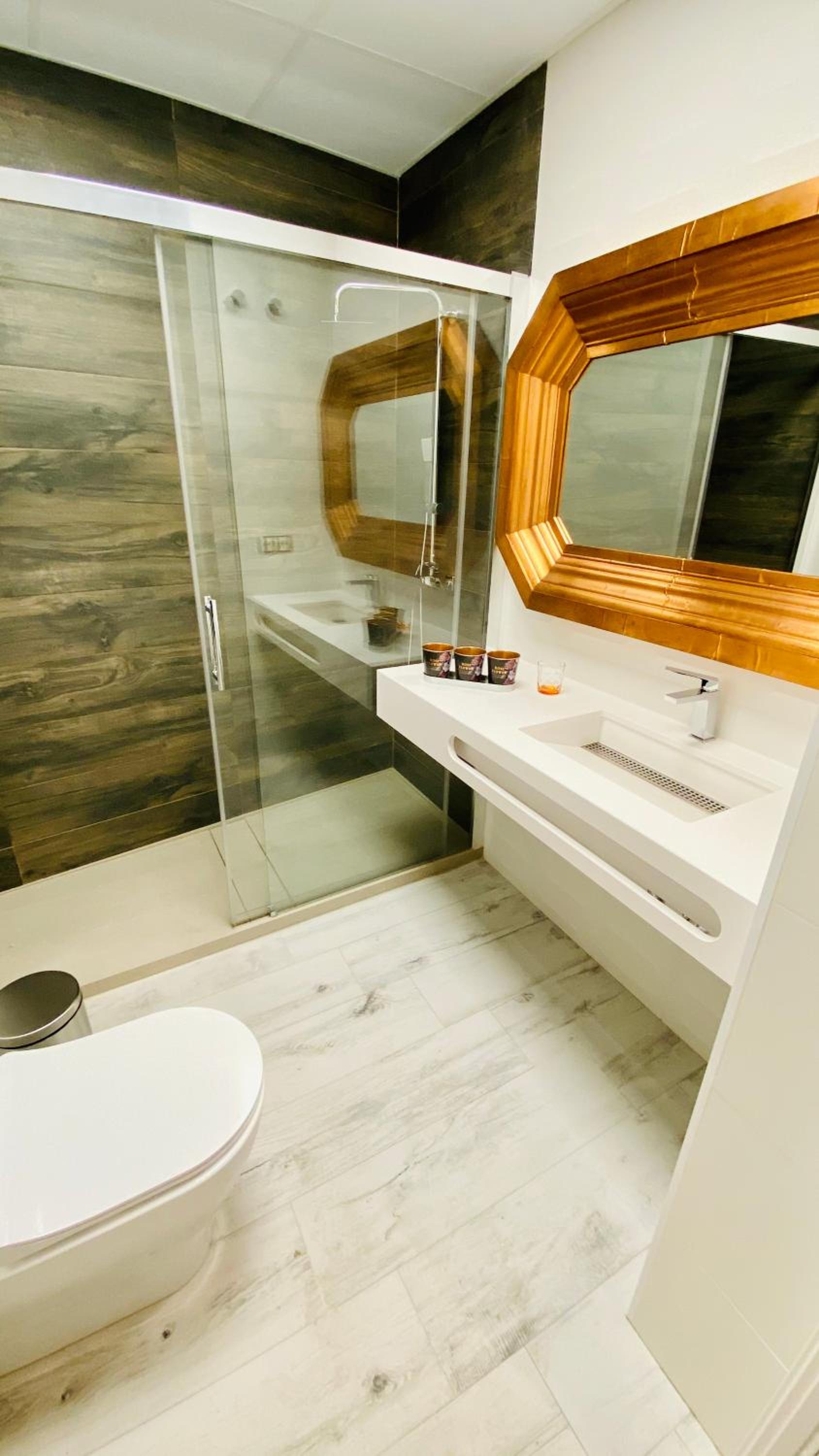 Superior Apartment - Photo 9