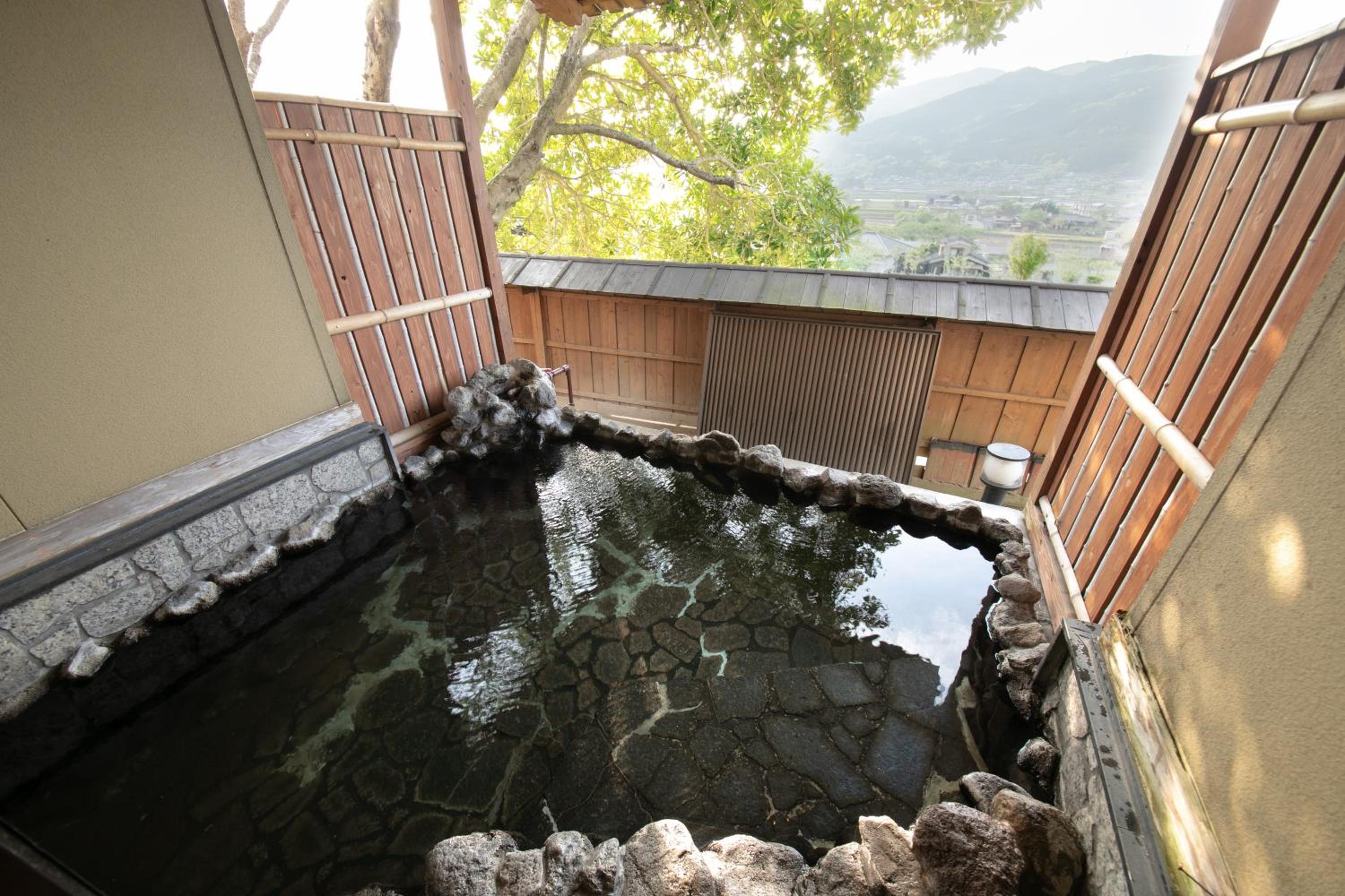 Deluxe Villa photo 2