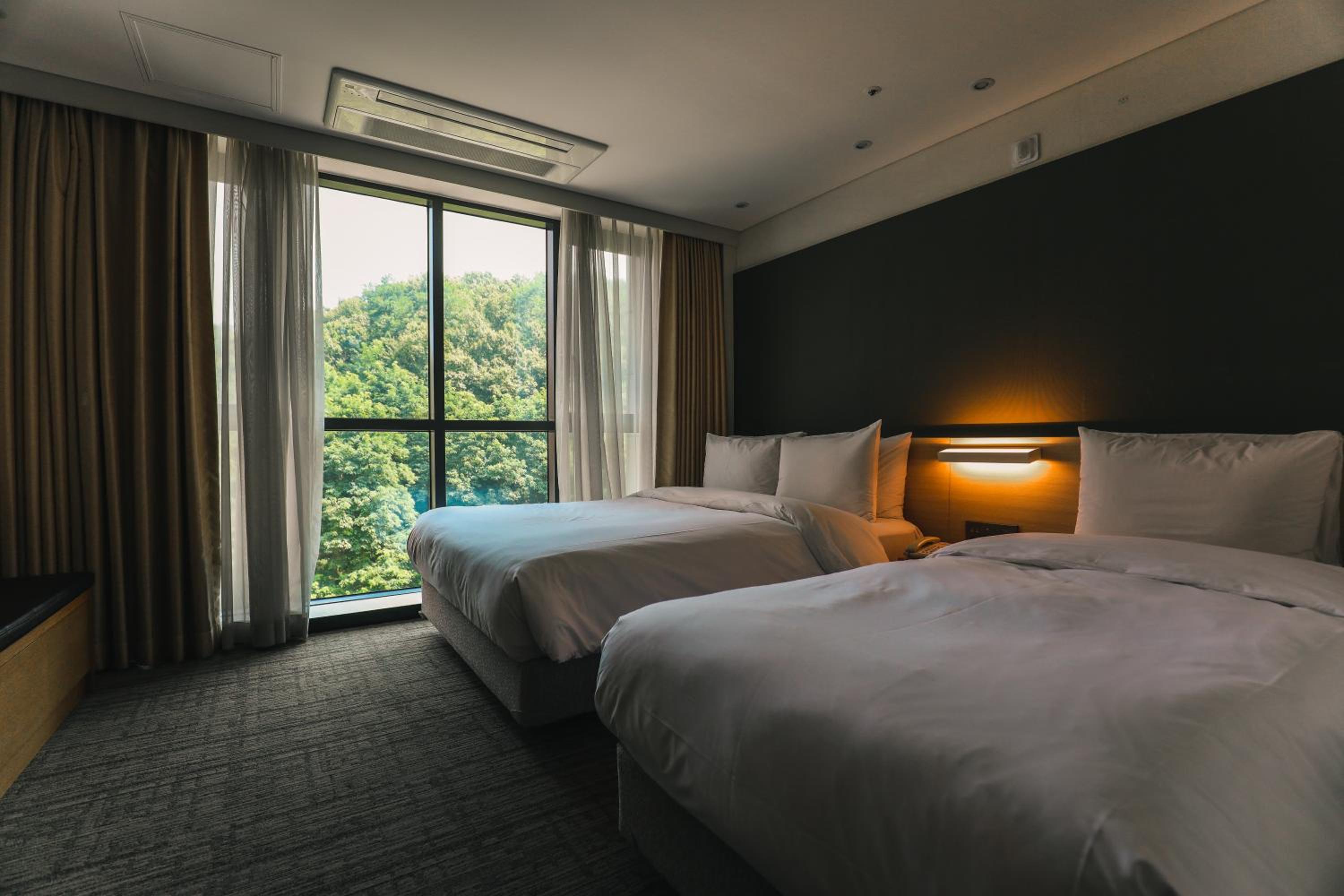 Deluxe Twin Room photo 3