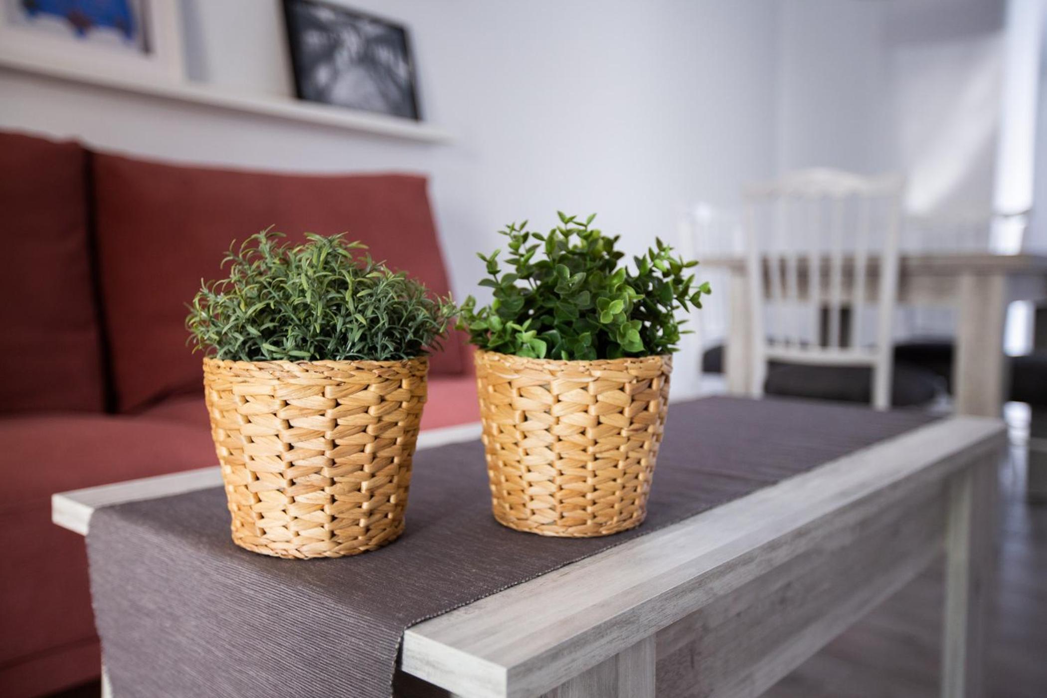 Apartment - Ground Floor - Photo 11