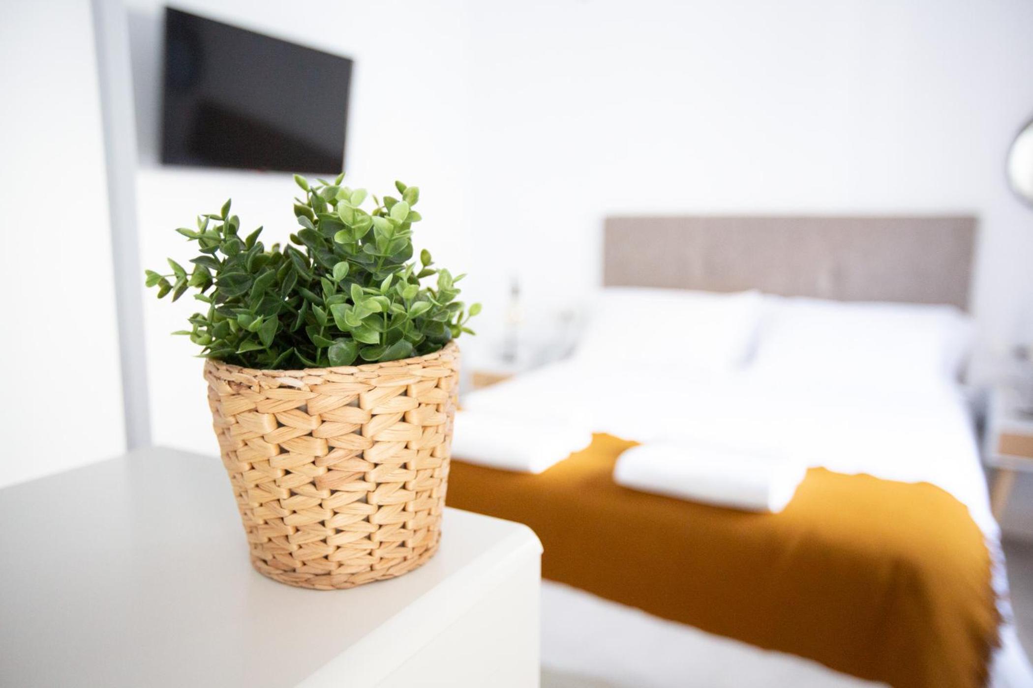 Apartment - Ground Floor - Photo 1