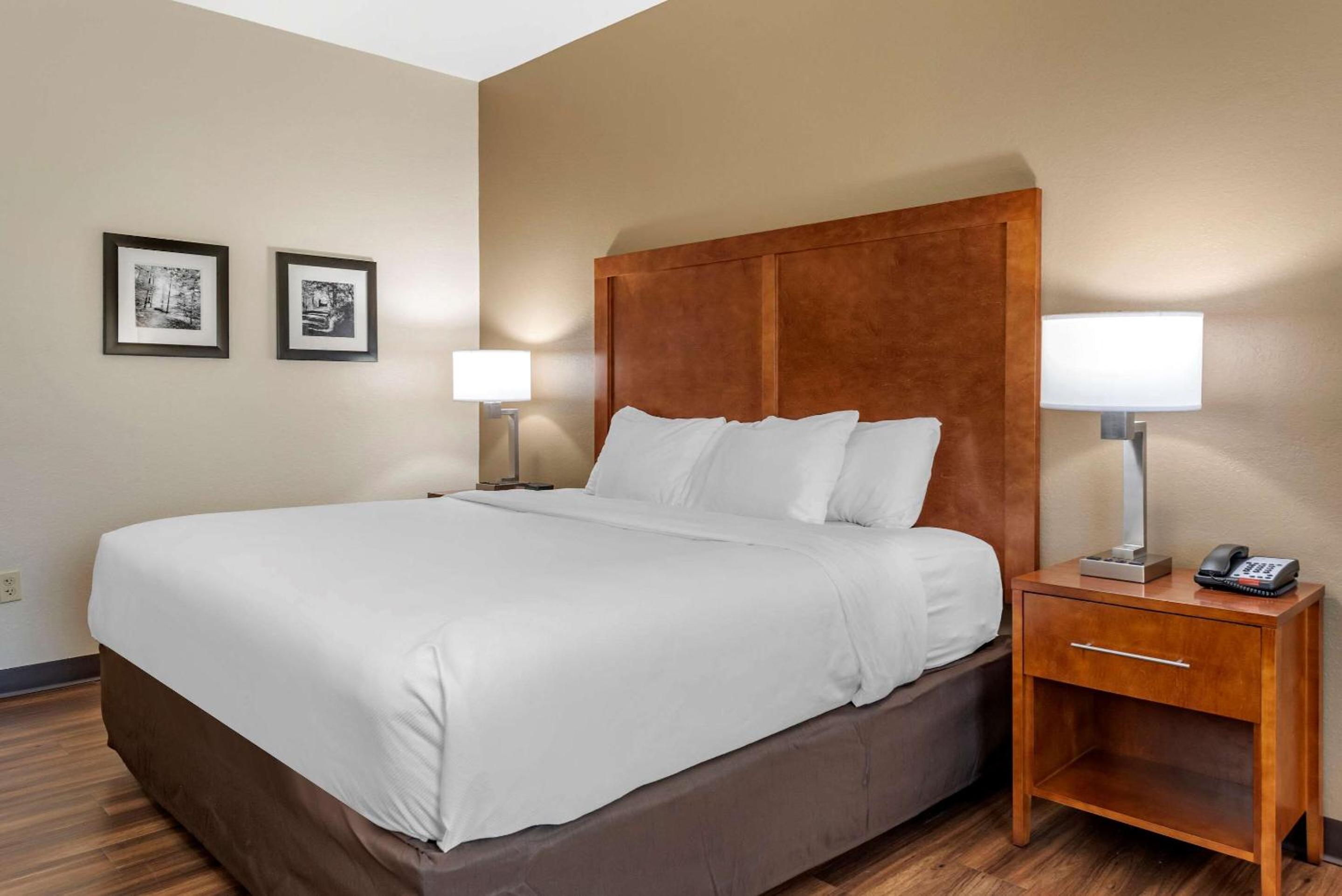 King Room - Non-Smoking - Photo 2