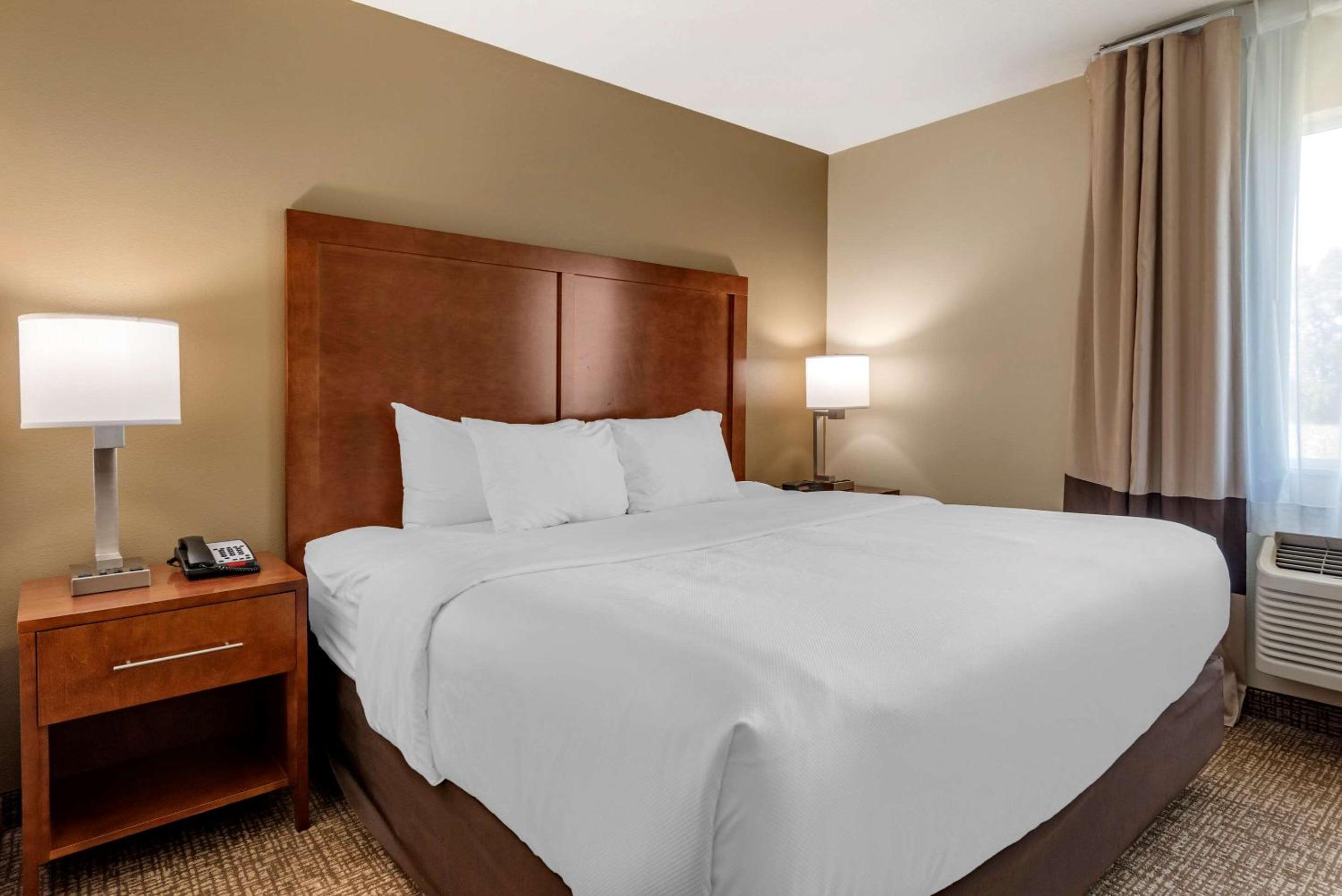 King Suite - Non-Smoking - Photo 3