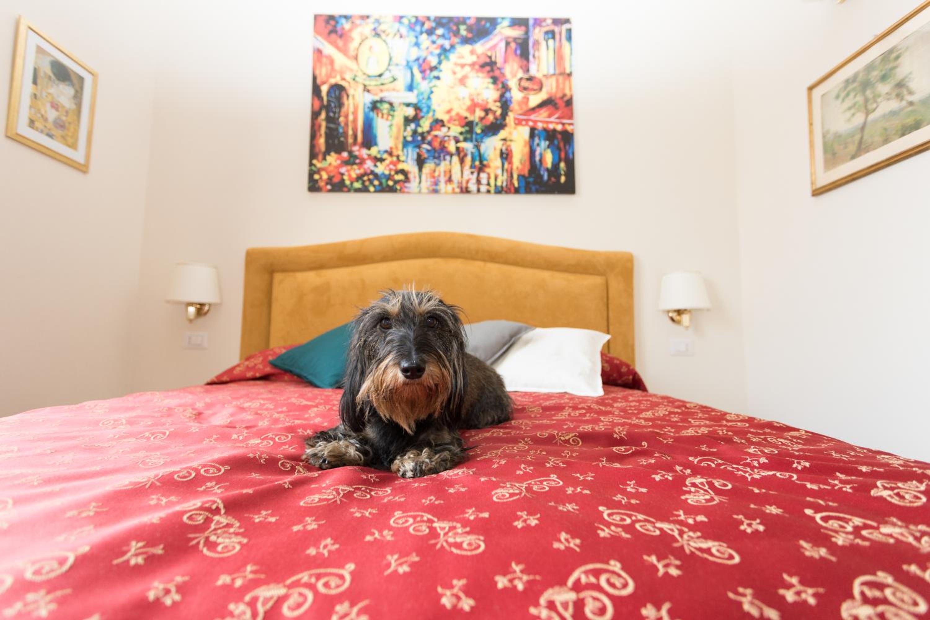 Double Room photo 2