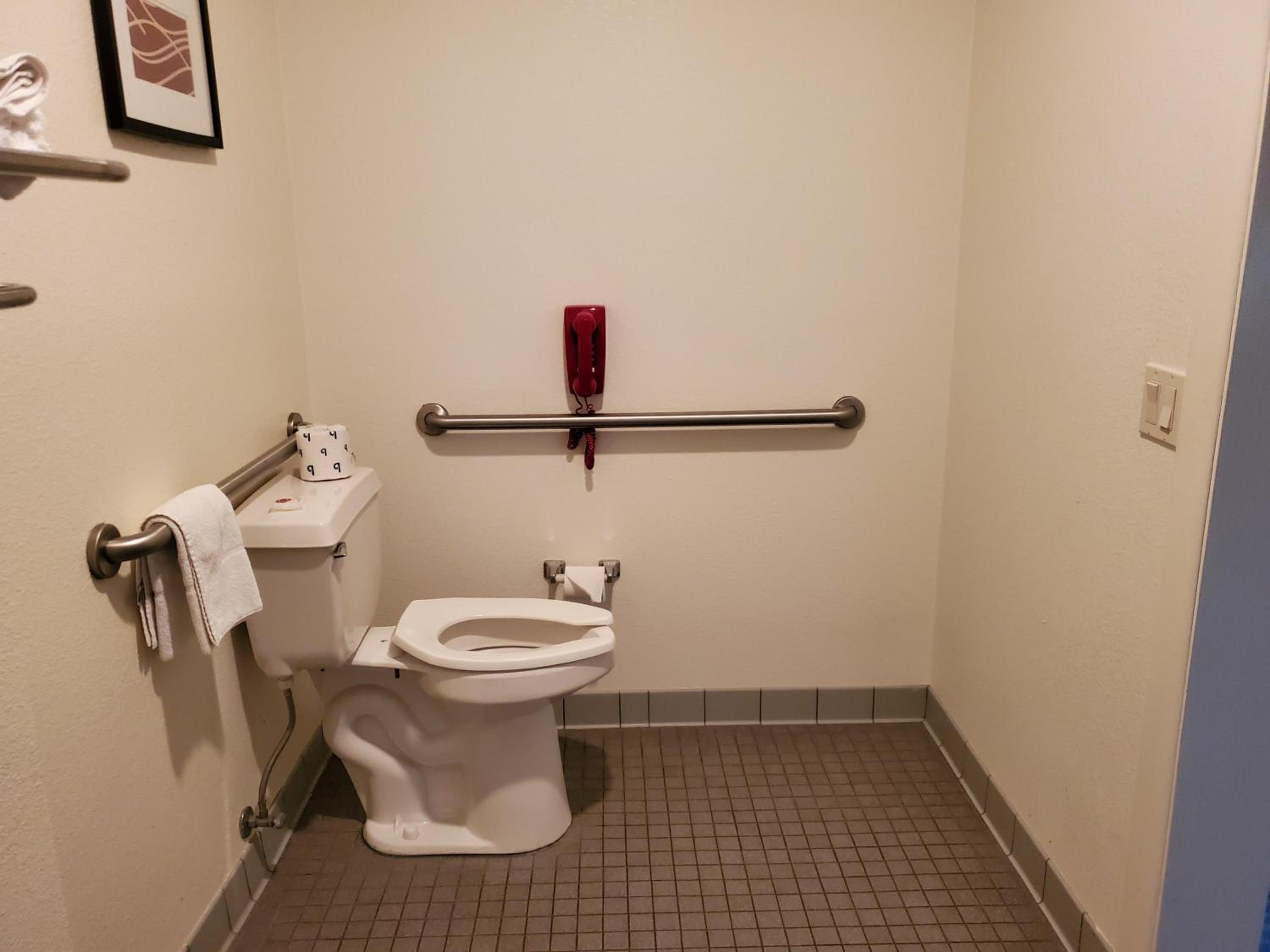 Queen Room with Roll-In Shower - Accessible/Non-Smoking - Photo 3