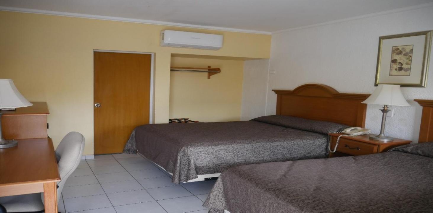 Twin Room photo 3
