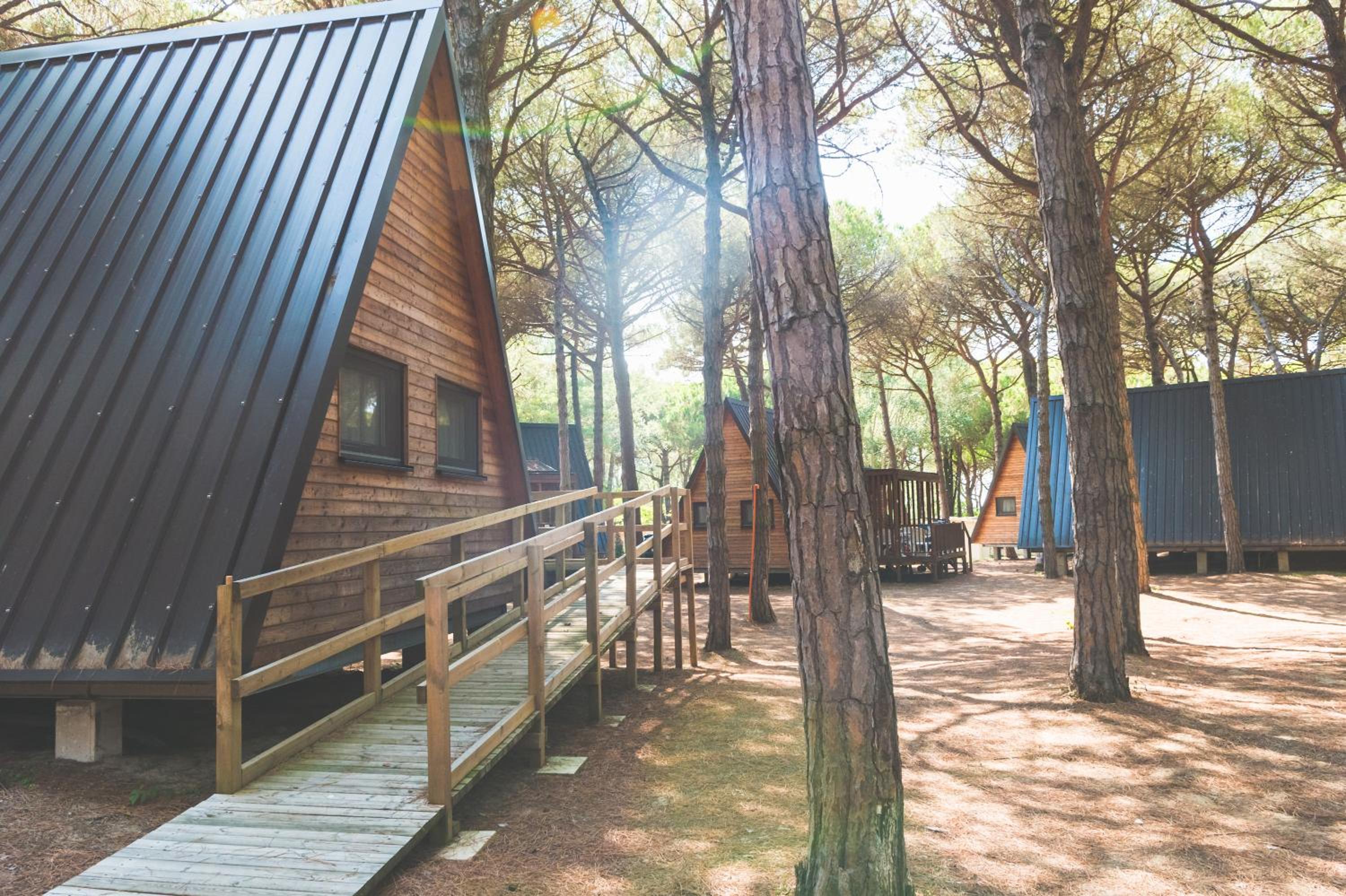 Deluxe Chalet - Pet Not Allowed photo 3