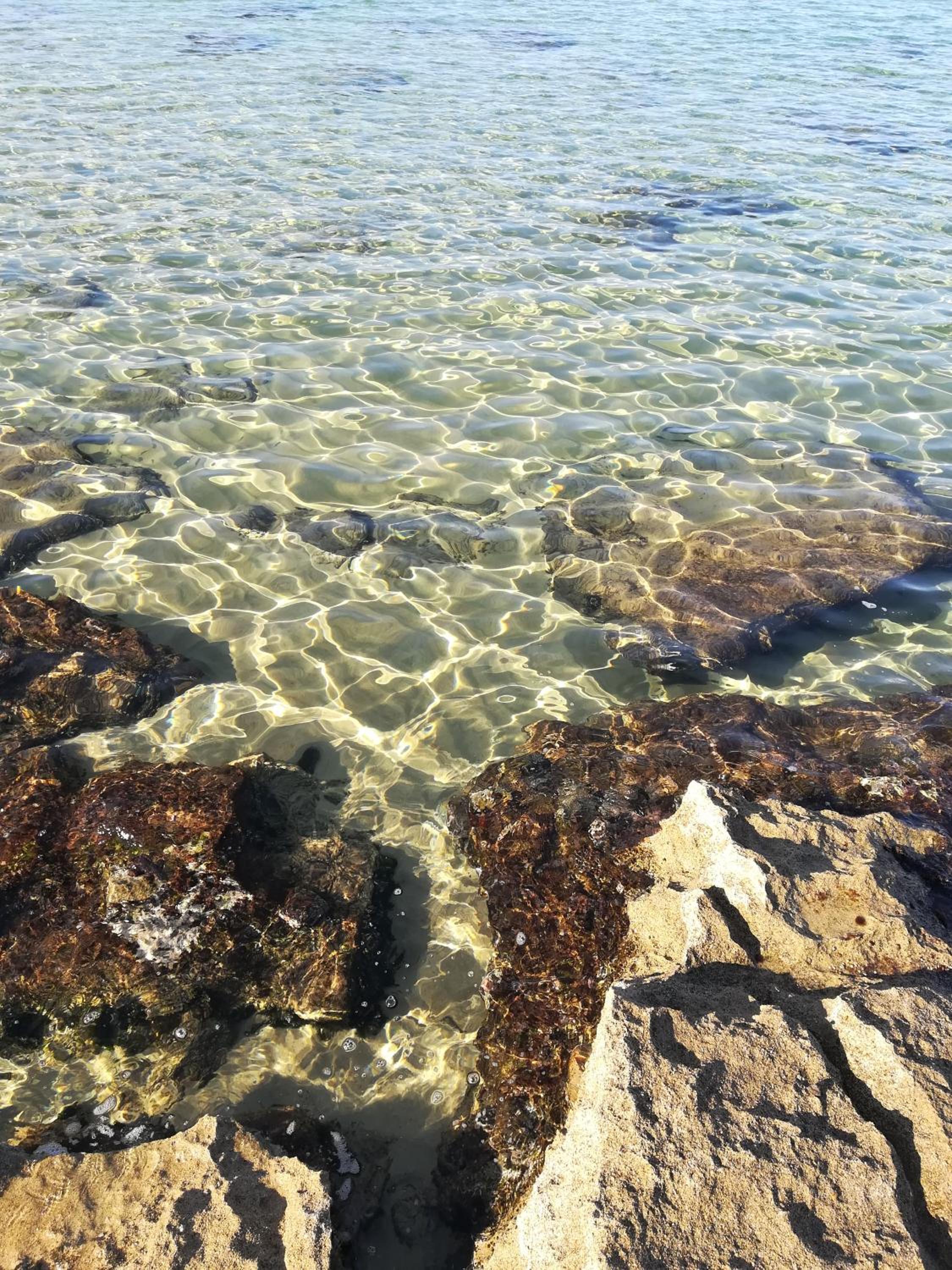 One-Bedroom House photo 2