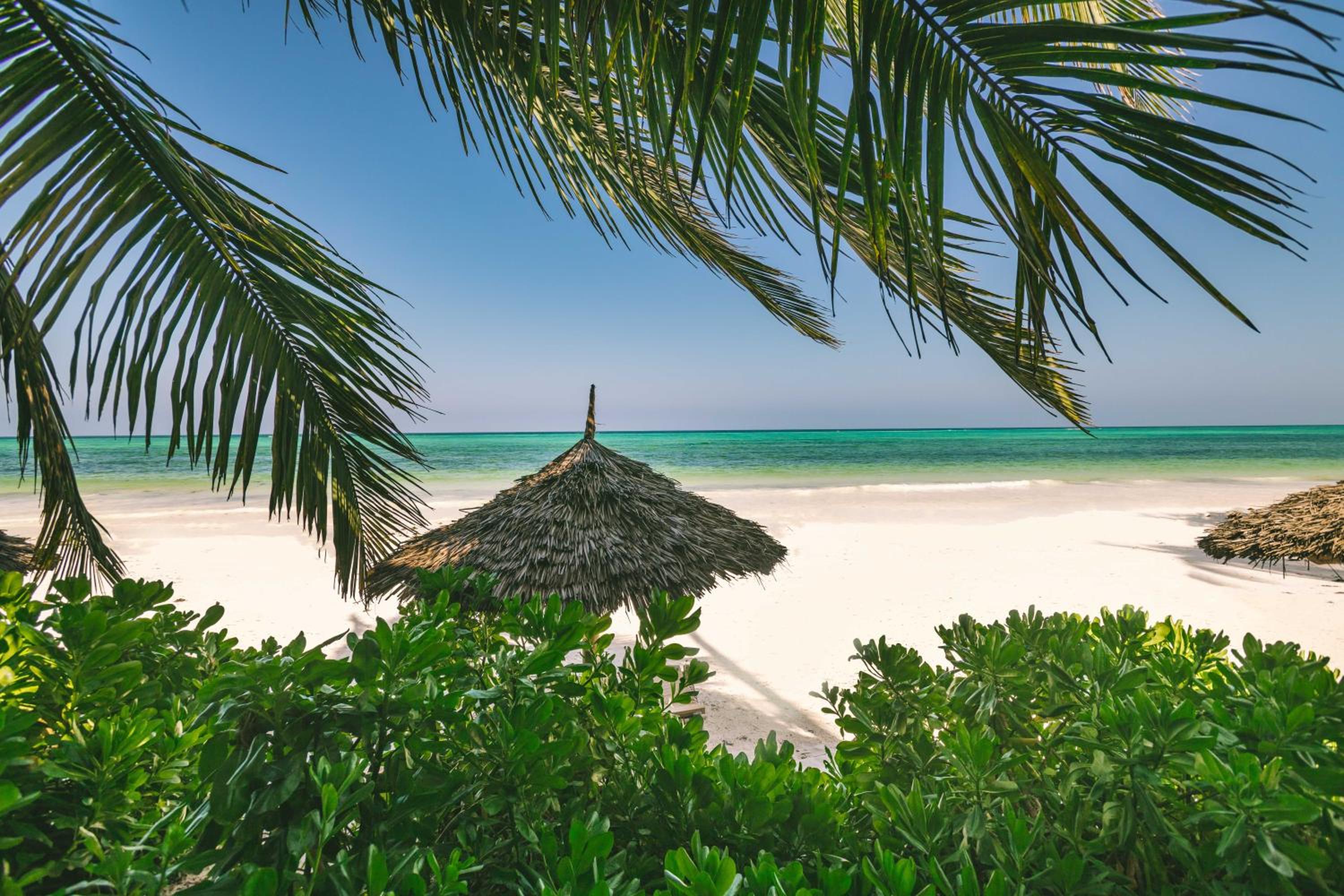 Bungalow - Beach Front photo 2