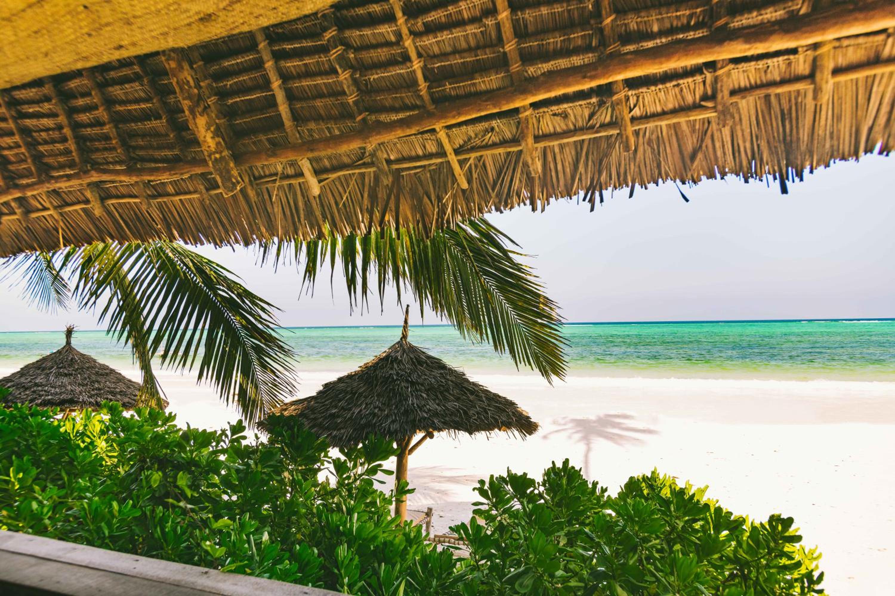 Bungalow - Beach Front photo 3