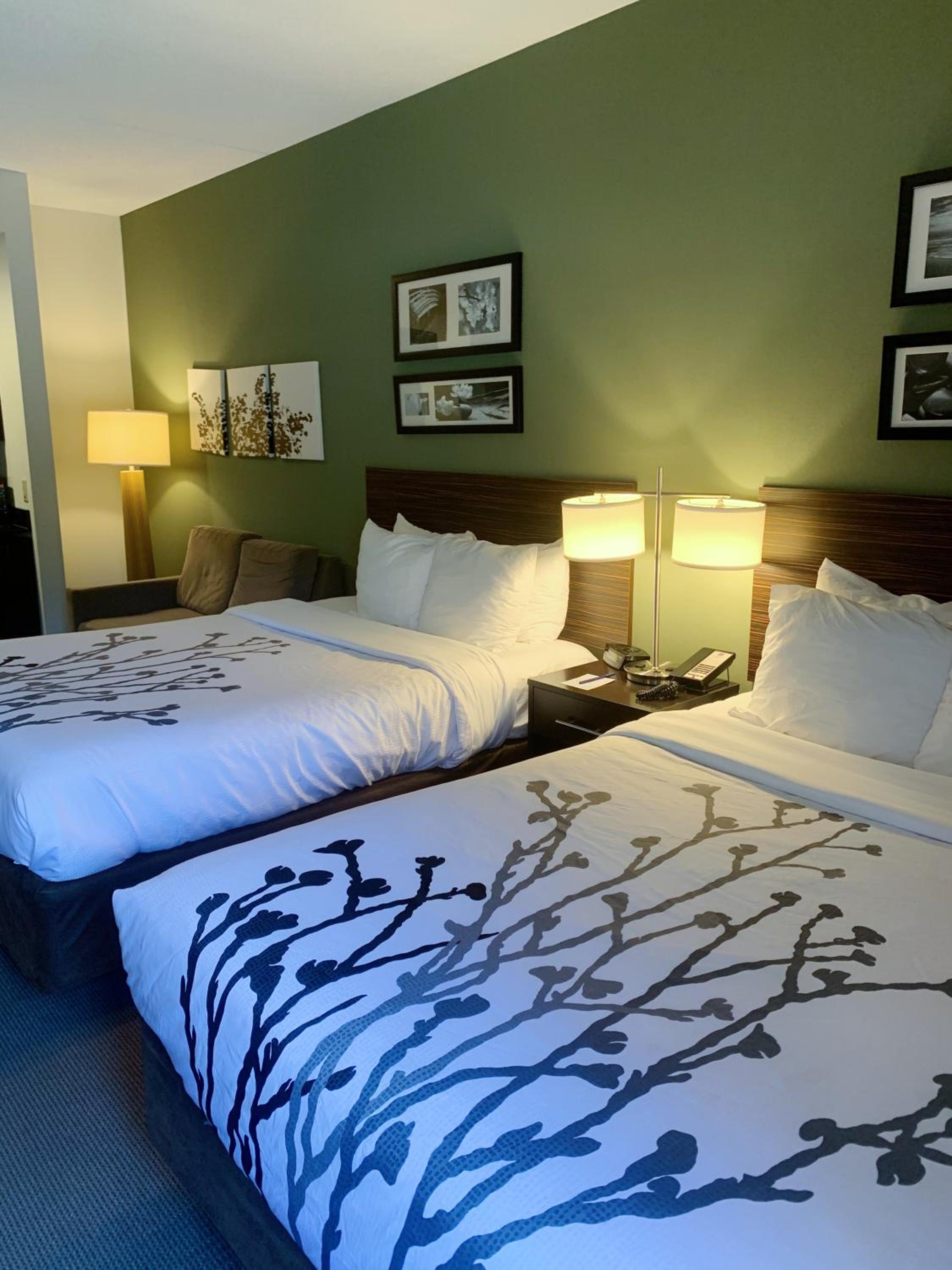 Queen Suite with Whirlpool - Non-Smoking - Photo 1