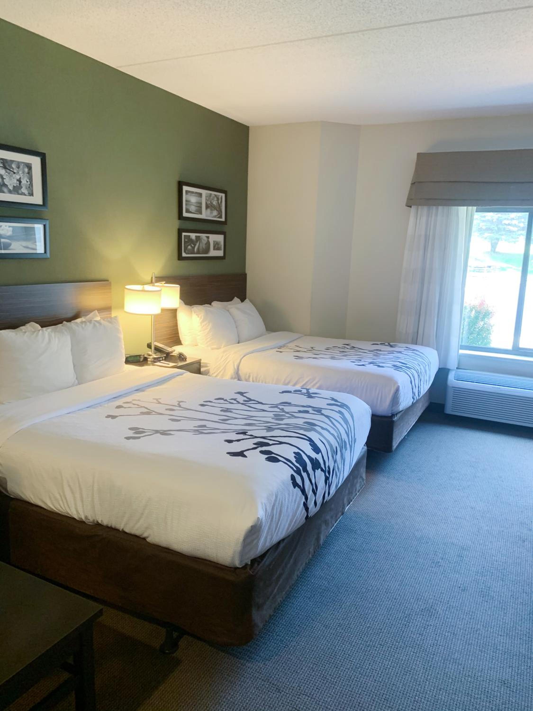 Queen Suite with Whirlpool - Non-Smoking - Photo 9