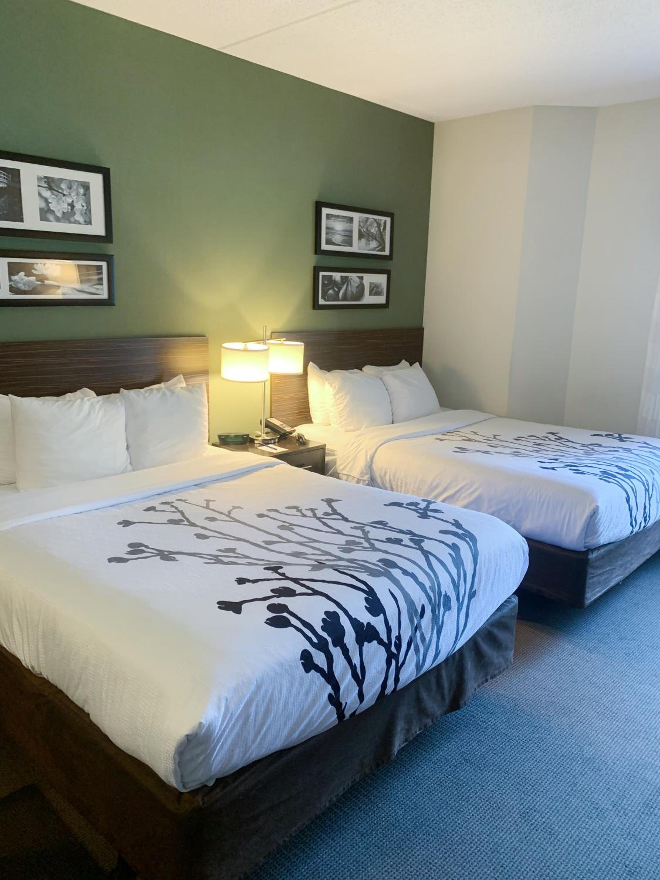 Queen Suite with Whirlpool - Non-Smoking - Photo 8