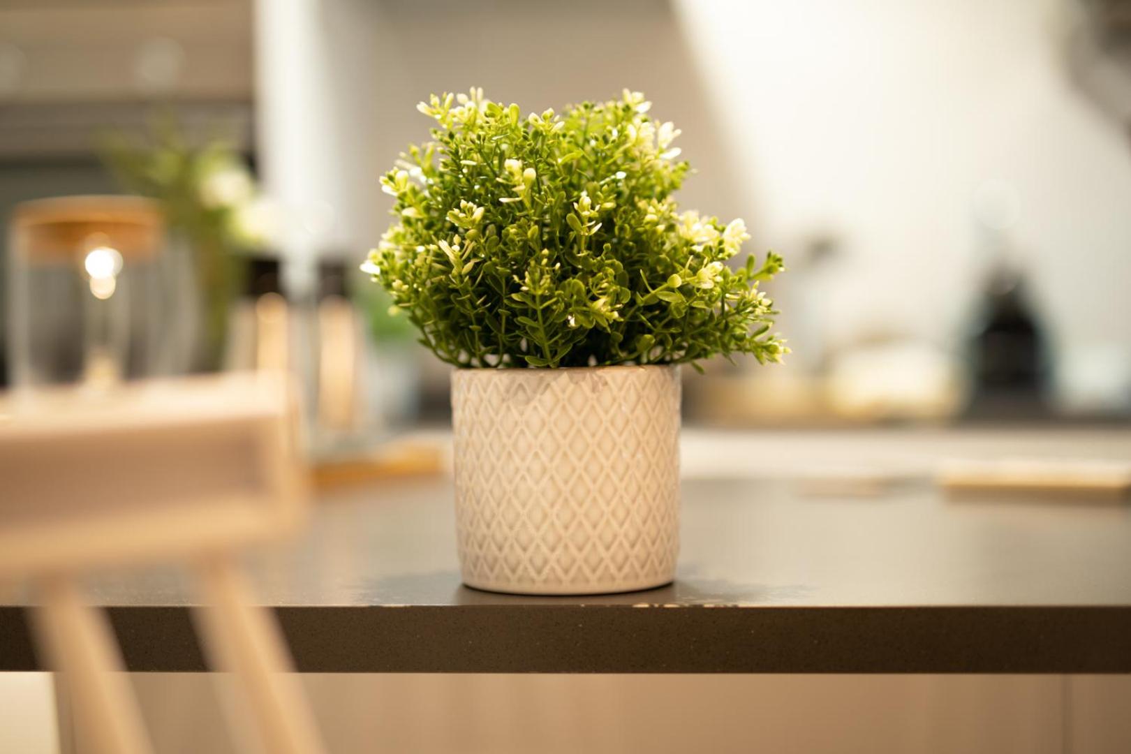 Three-Bedroom Apartment - Photo 11